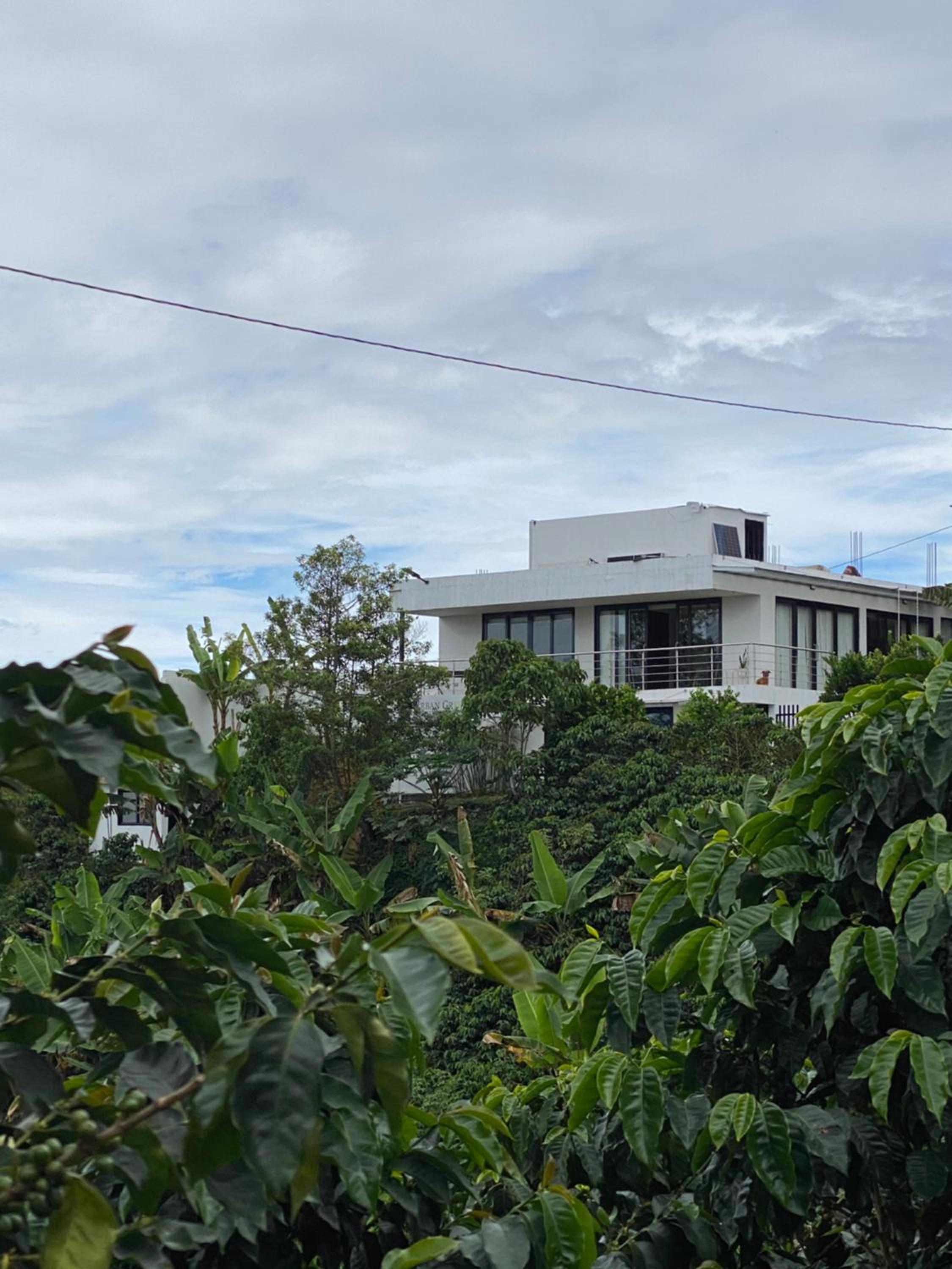 House Green el cafetal