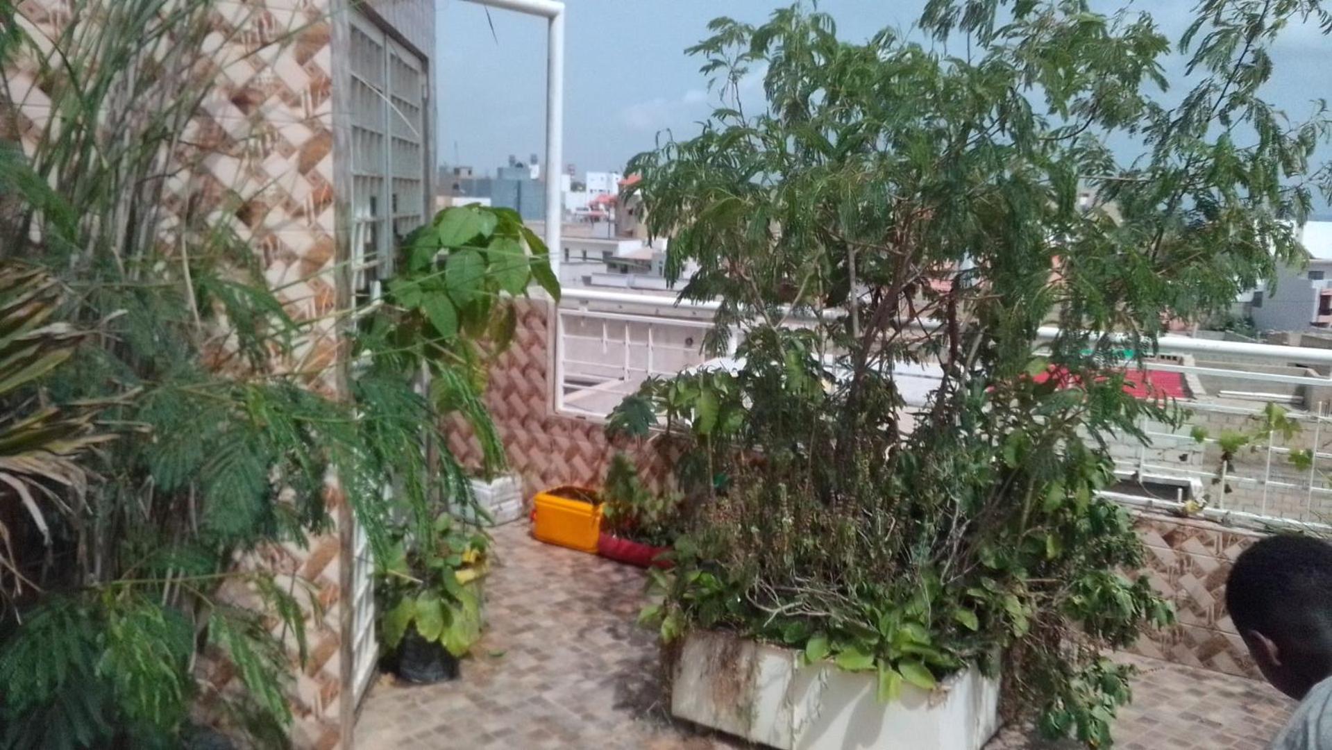 roof
