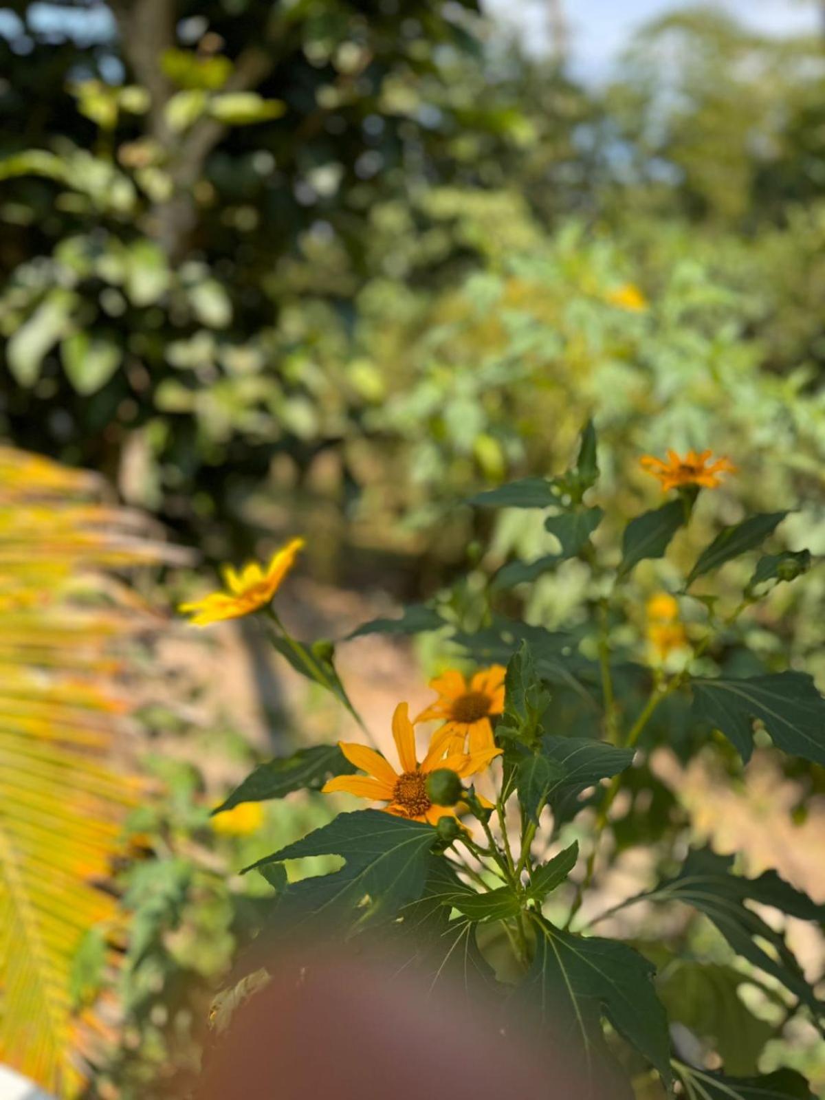 Finca Villa Rosita-Tu Paraíso Campestre cerca de Bogotá