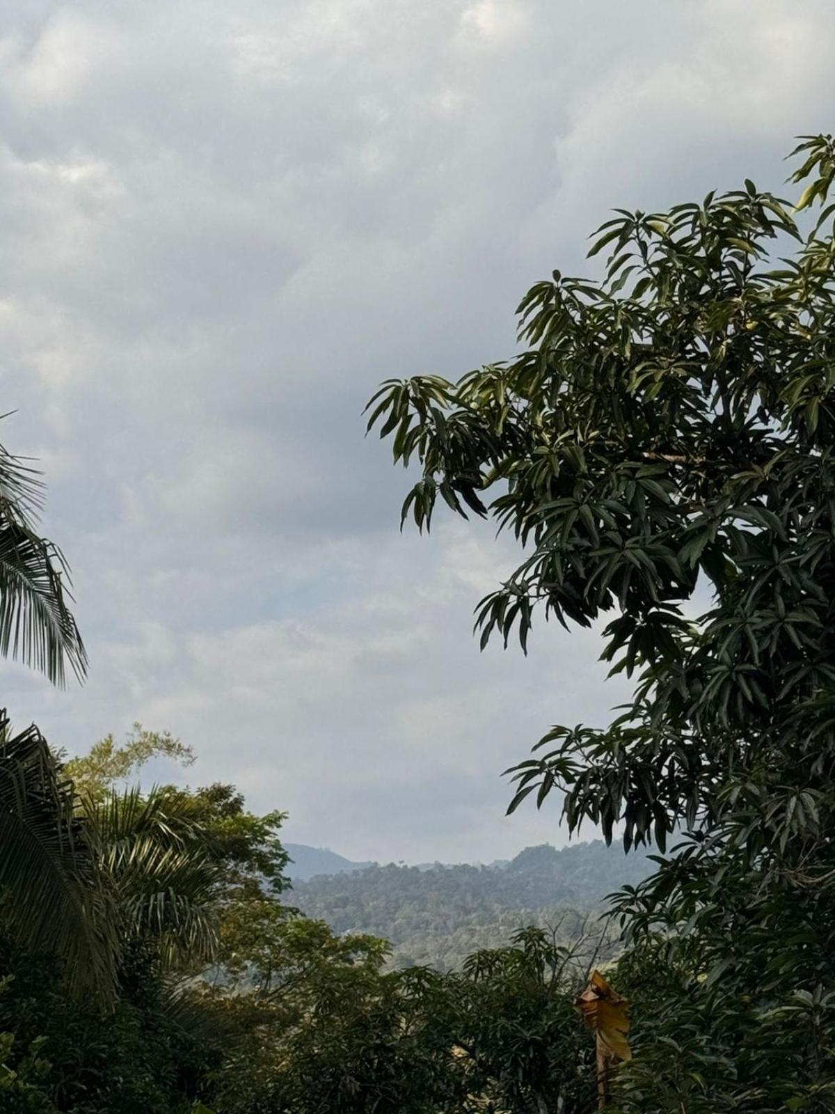 Finca Villa Rosita-Tu Paraíso Campestre cerca de Bogotá