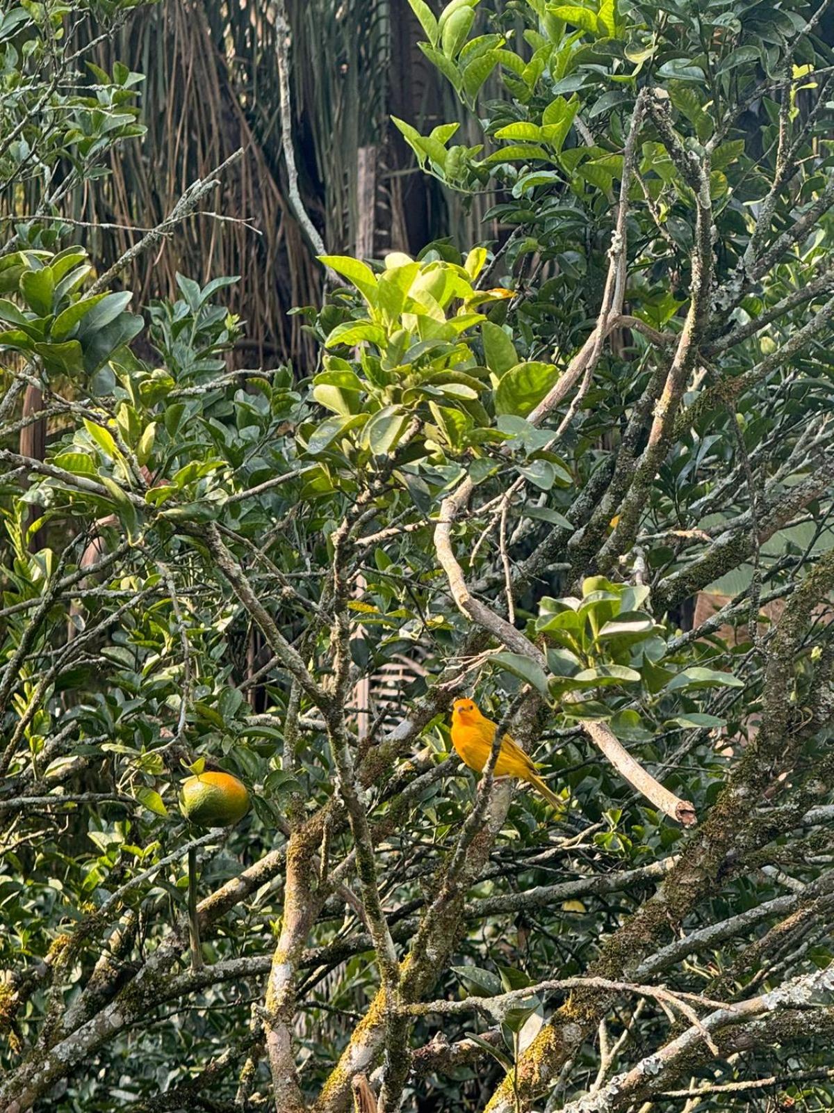 Finca Villa Rosita-Tu Paraíso Campestre cerca de Bogotá