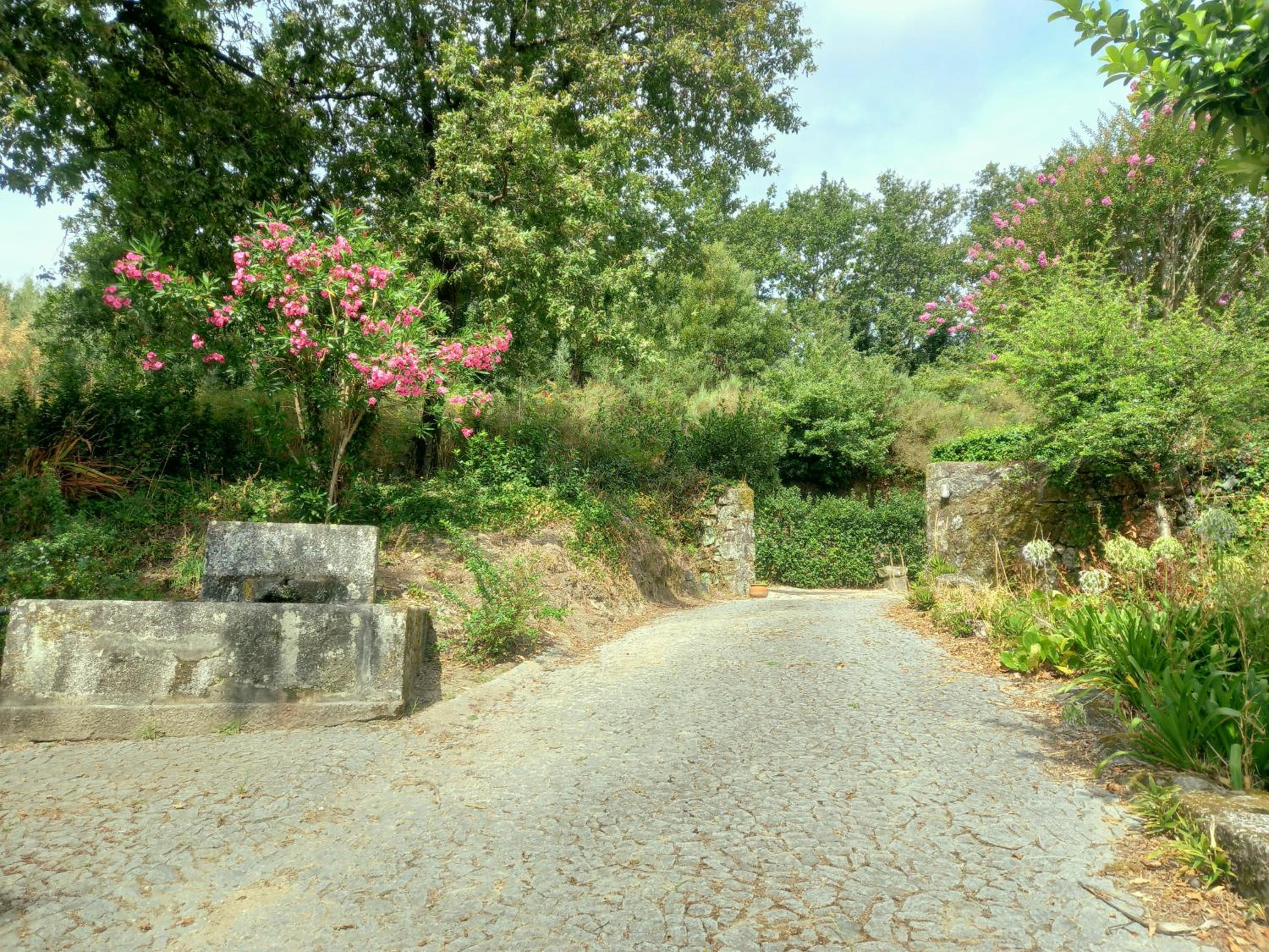 Photo 34