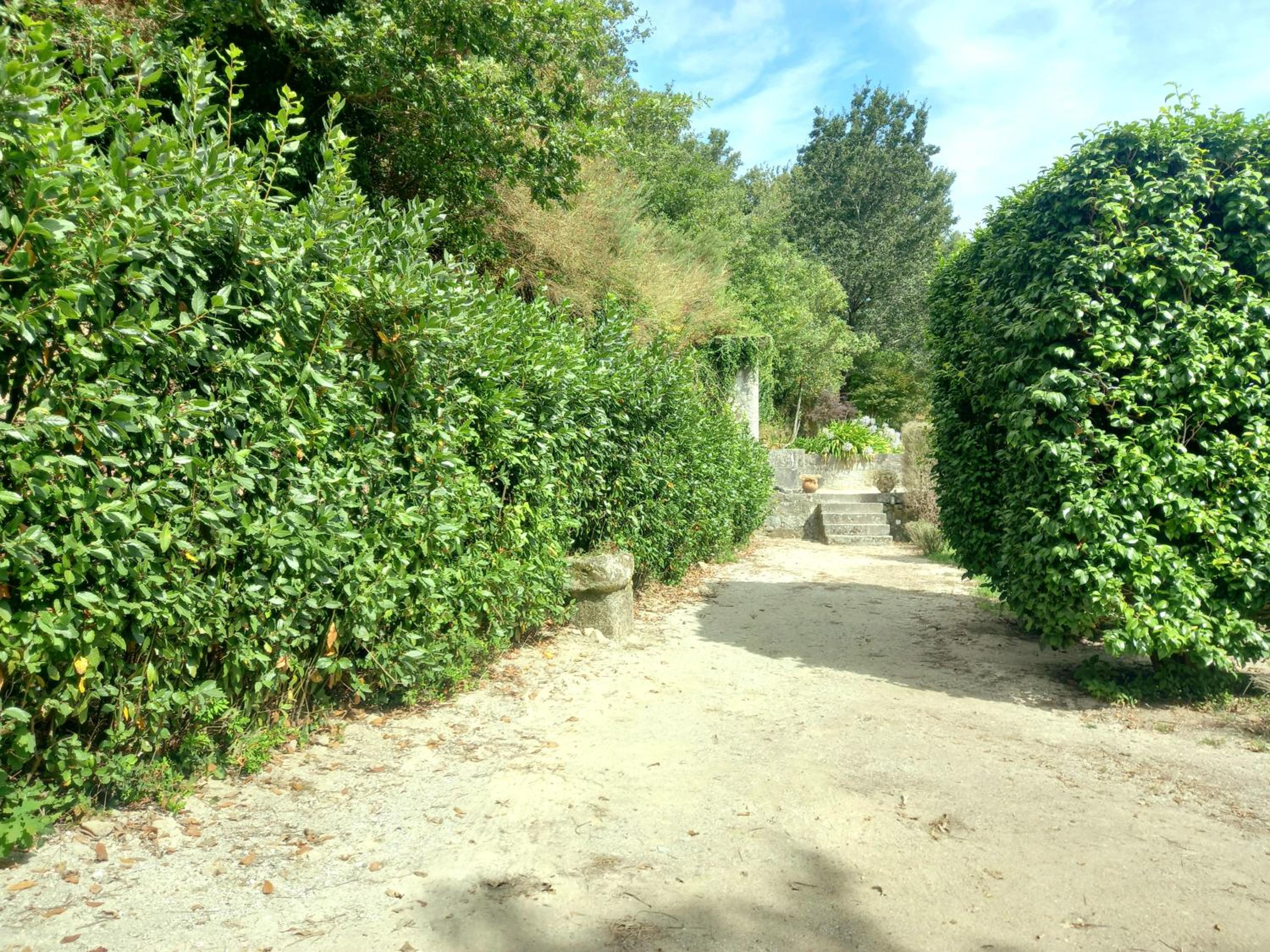 Photo 35