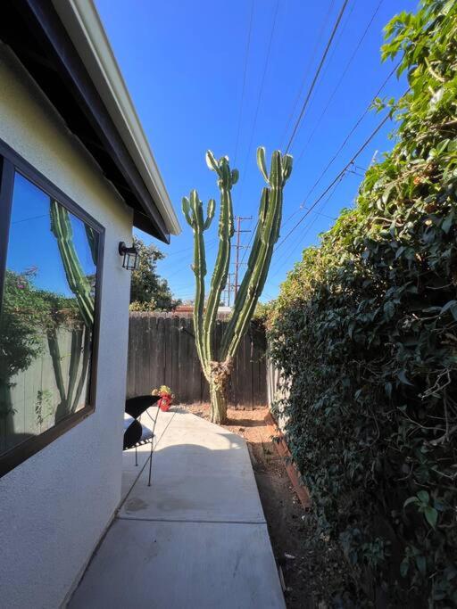 Lovely Little Cottage Close to Forum,Sofi,LAX