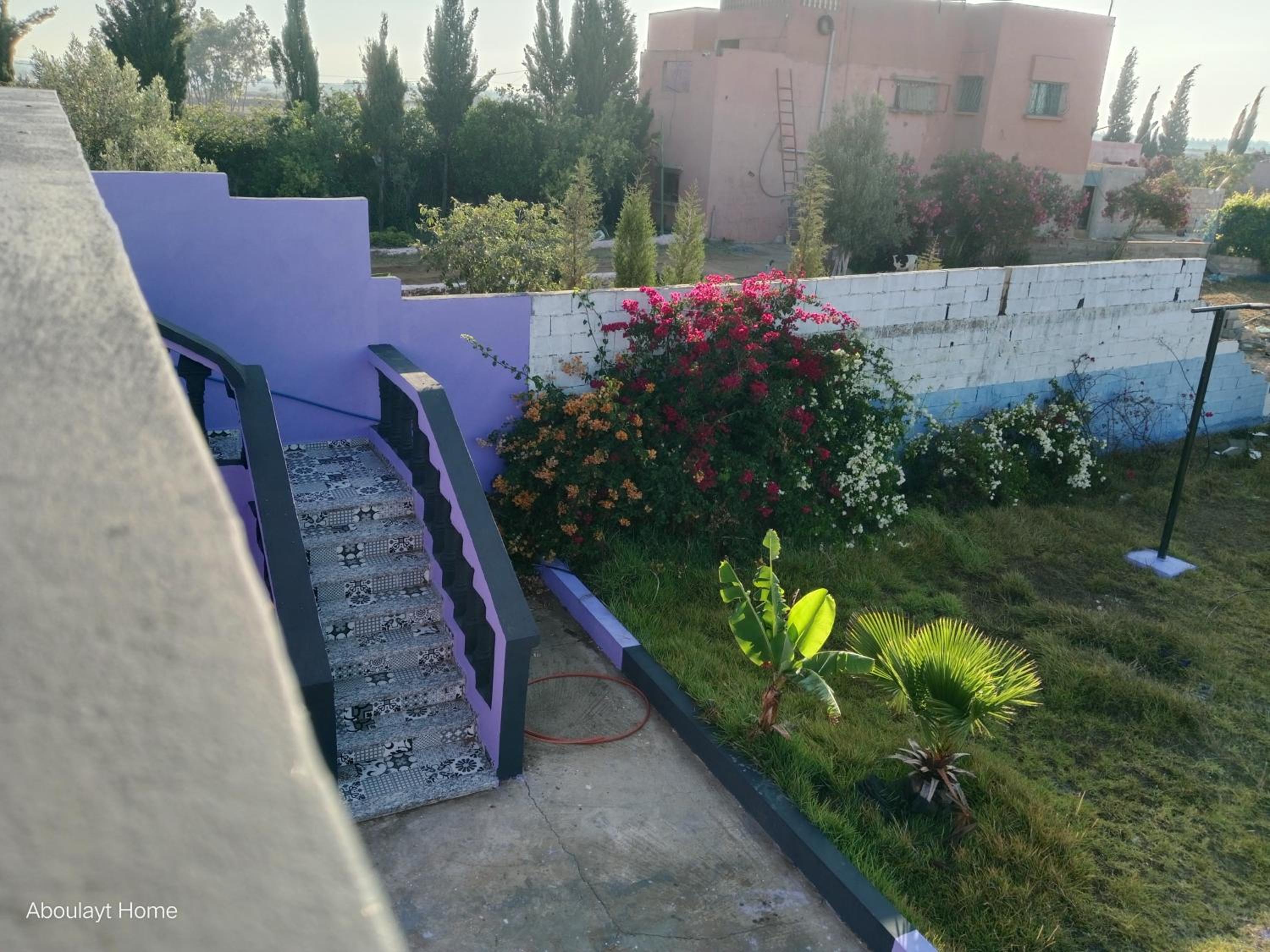 Photo 62