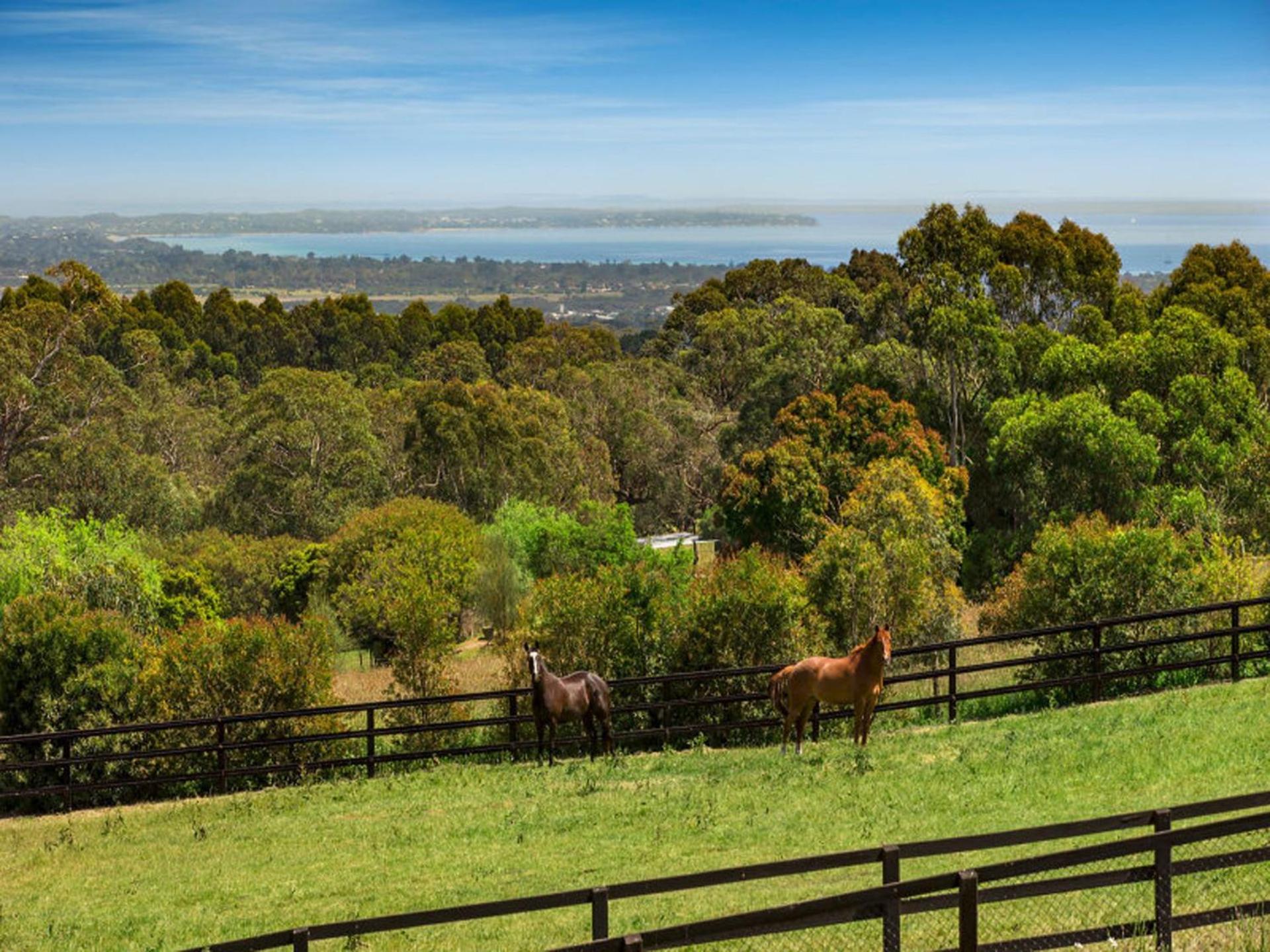 Red Hill Ridgeview Luxury Retreat
