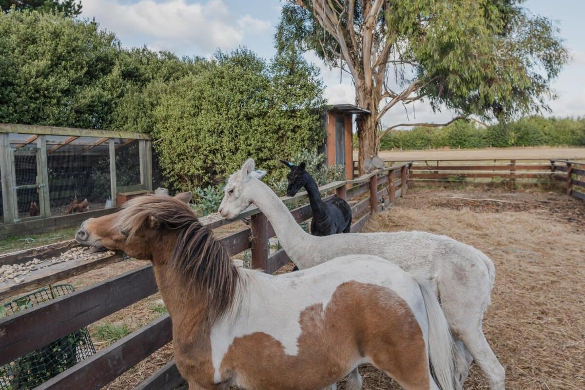 Expansive Luxury Country Escape