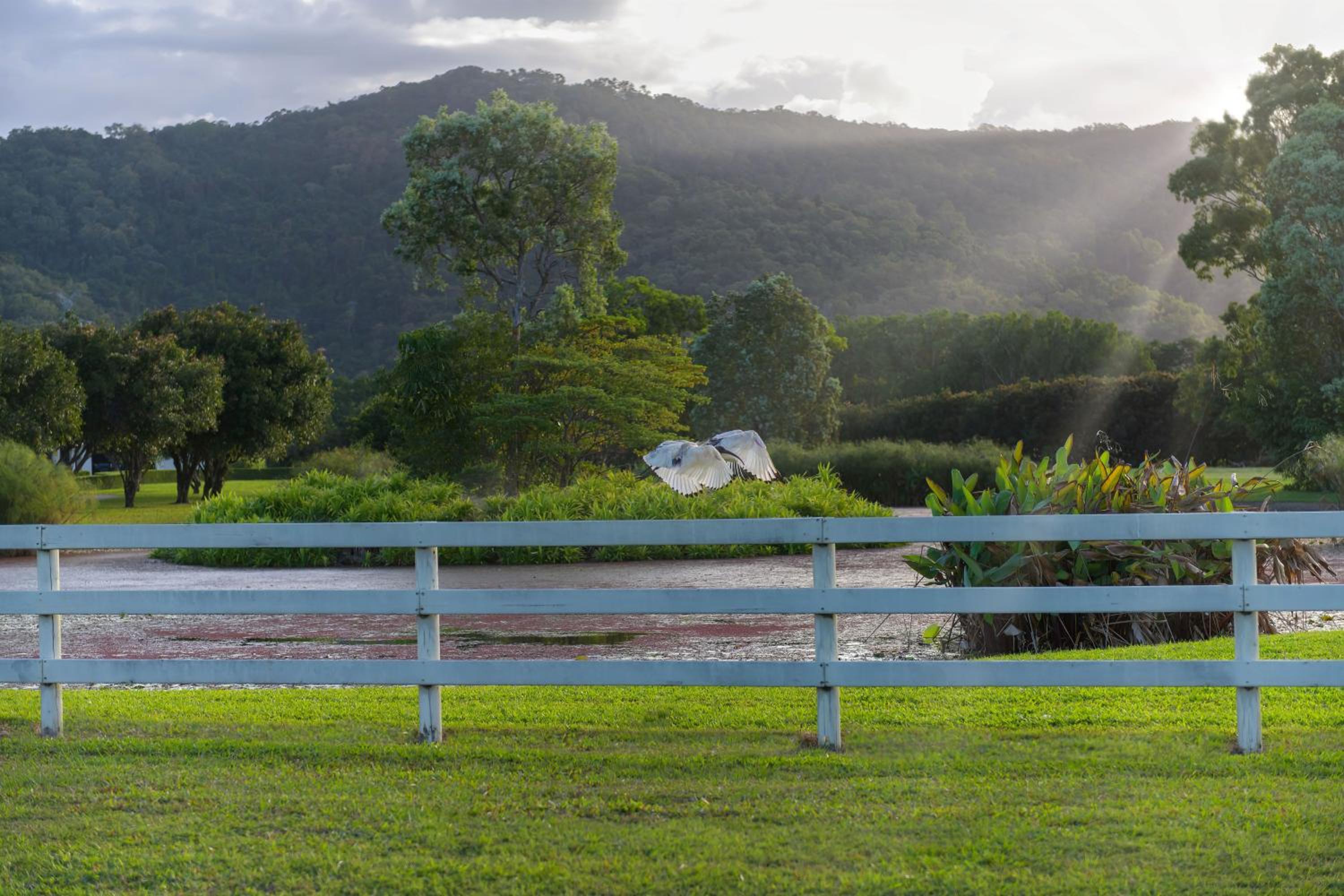 The Hampton Lodge with private pool on 25 acres