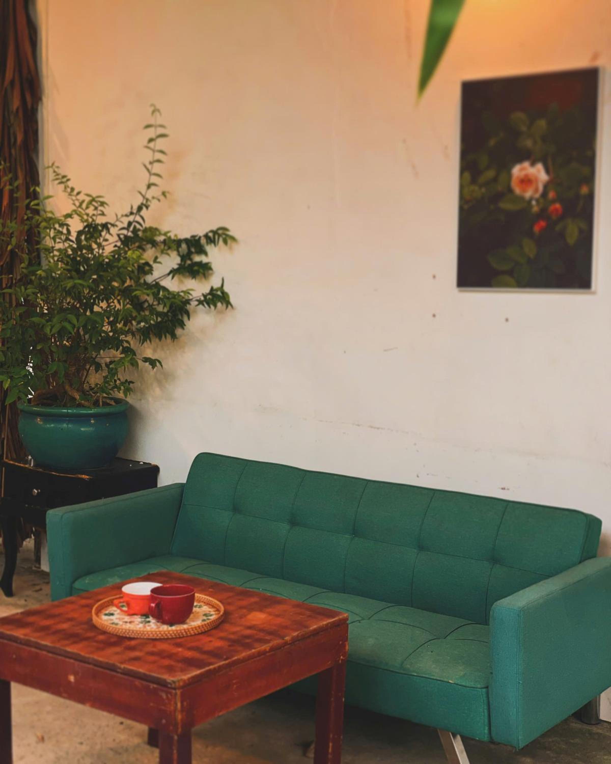 Yang Homestay B&B - Room