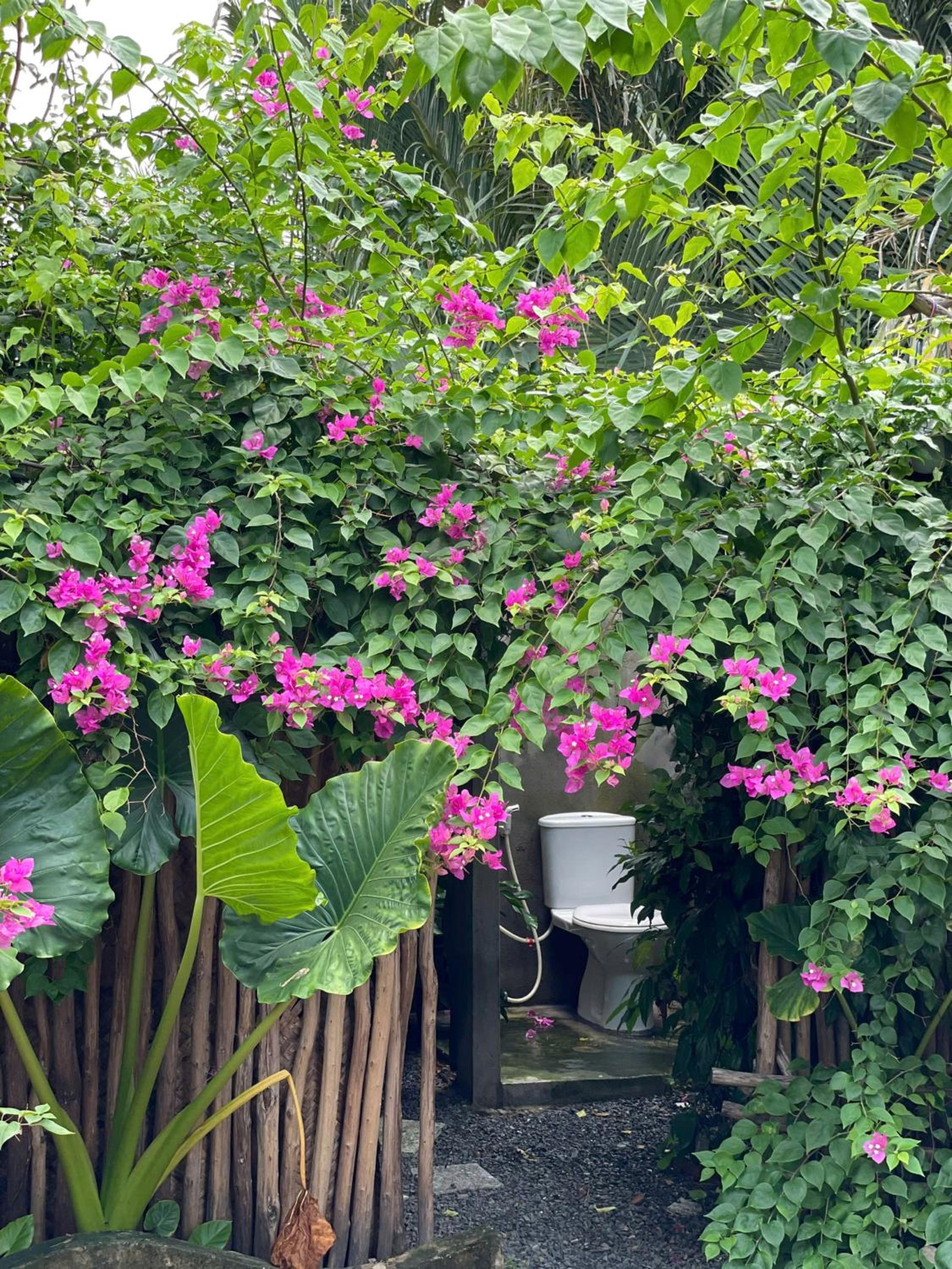 Yang Homestay B&B - Room