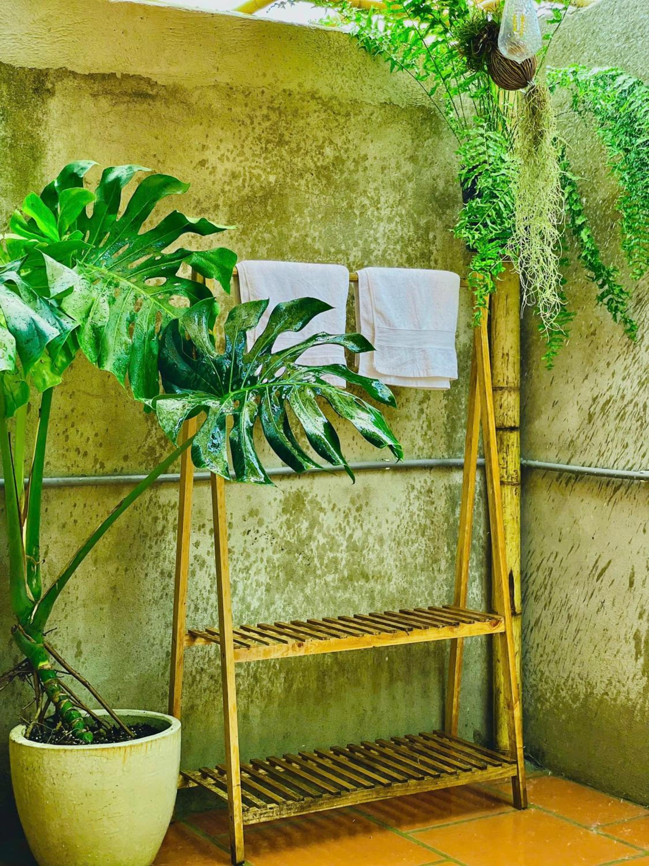 Yang Homestay B&B - Room