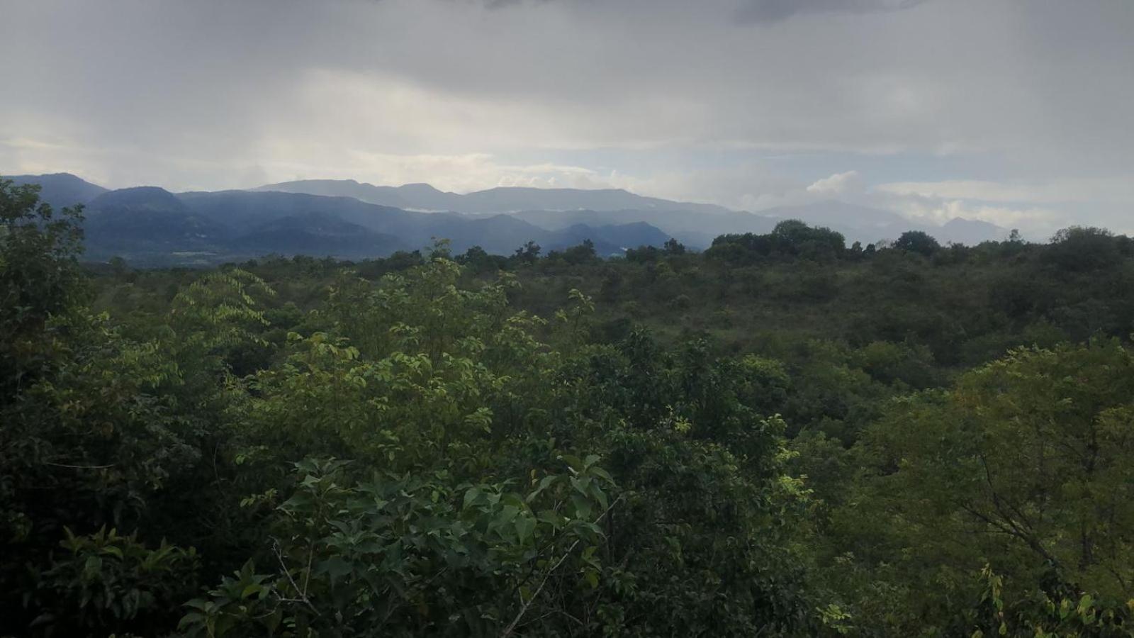 Ecolodge La Corocora
