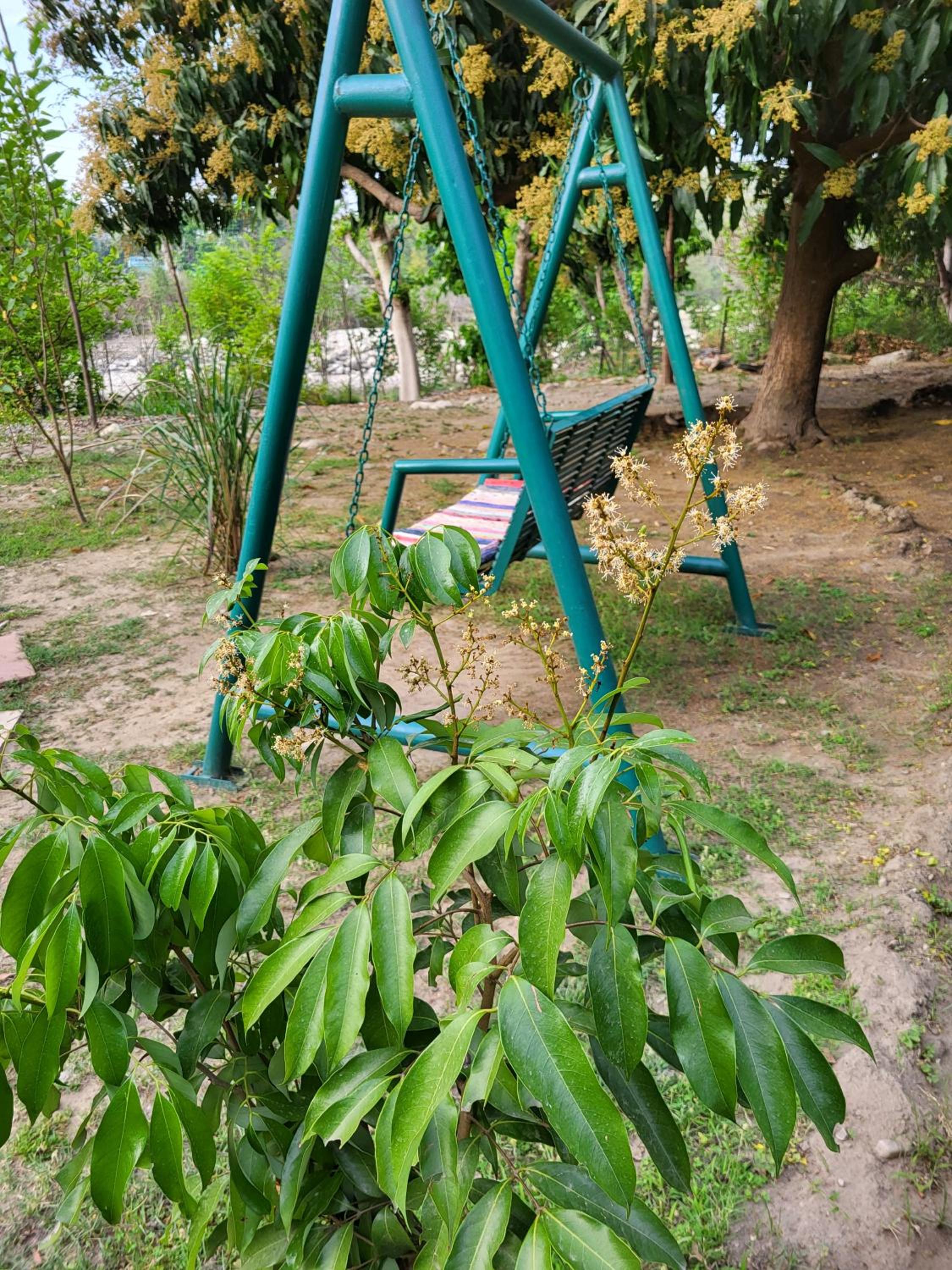 Photo 19