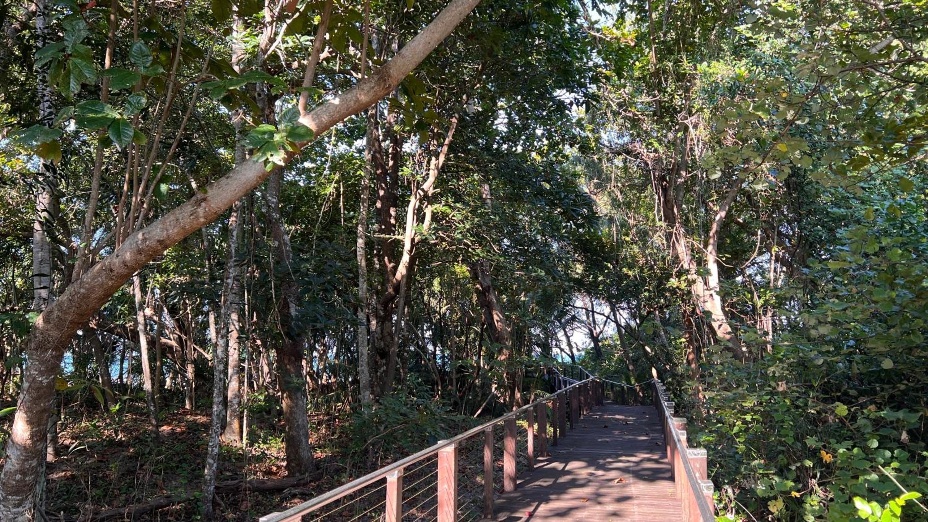 35 Beachfront Mirage Port Douglas