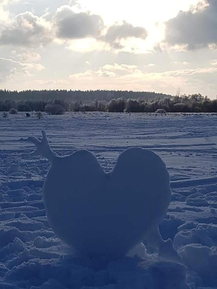 Ma campagne vue sur Malmedy