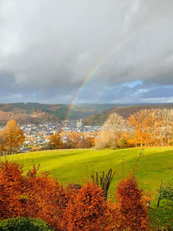 Ma campagne vue sur Malmedy