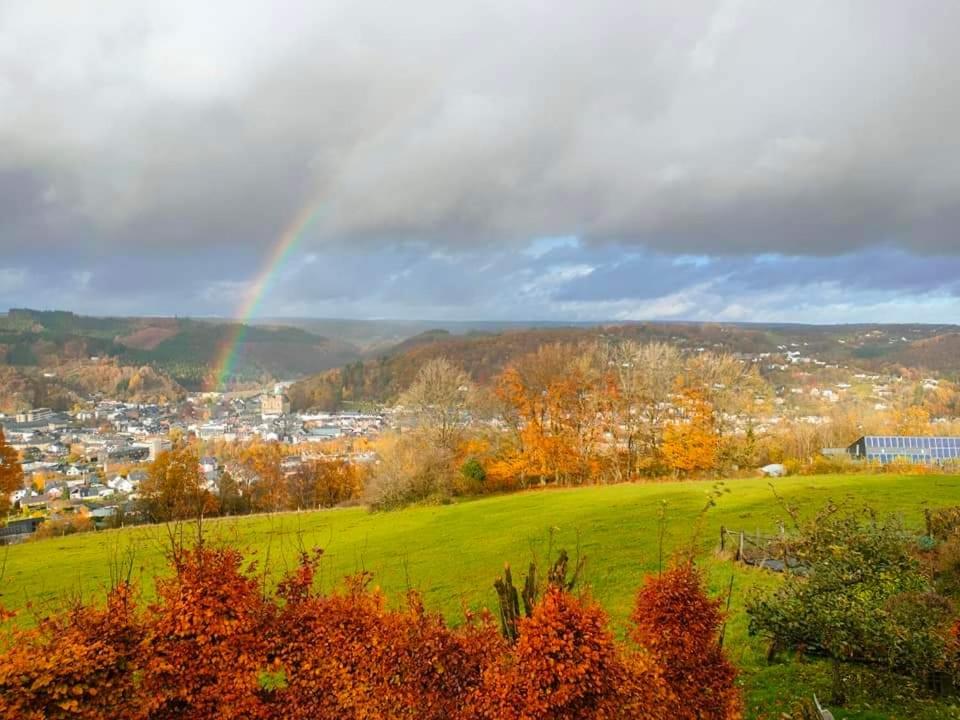Ma campagne vue sur Malmedy