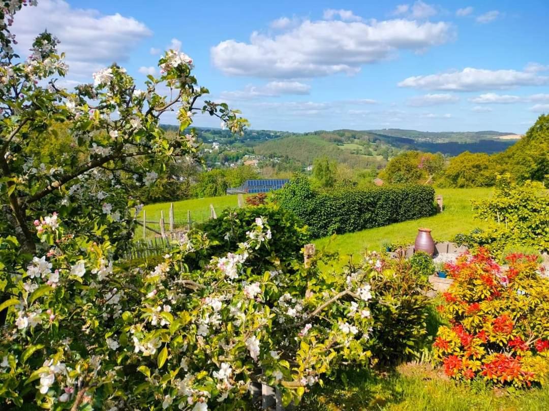 Ma campagne vue sur Malmedy