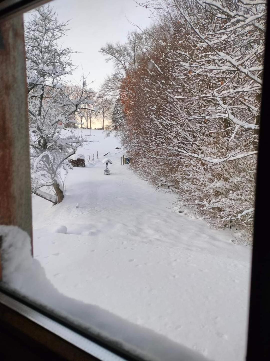 Ma campagne vue sur Malmedy