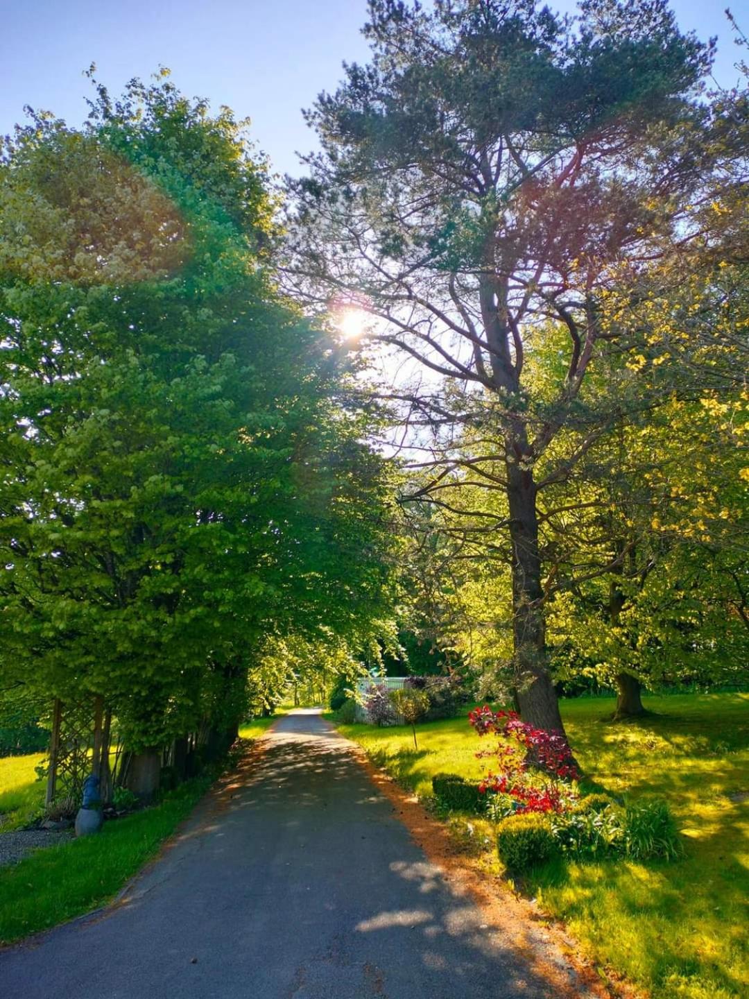 Ma campagne vue sur Malmedy