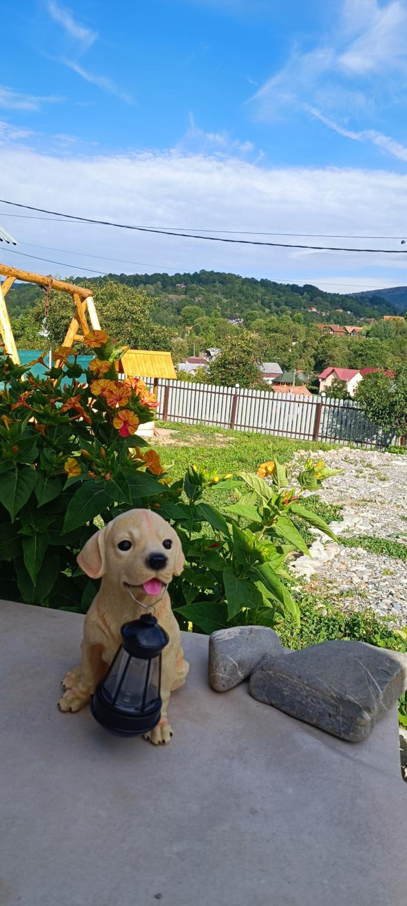 Căsuța din livadă view 5