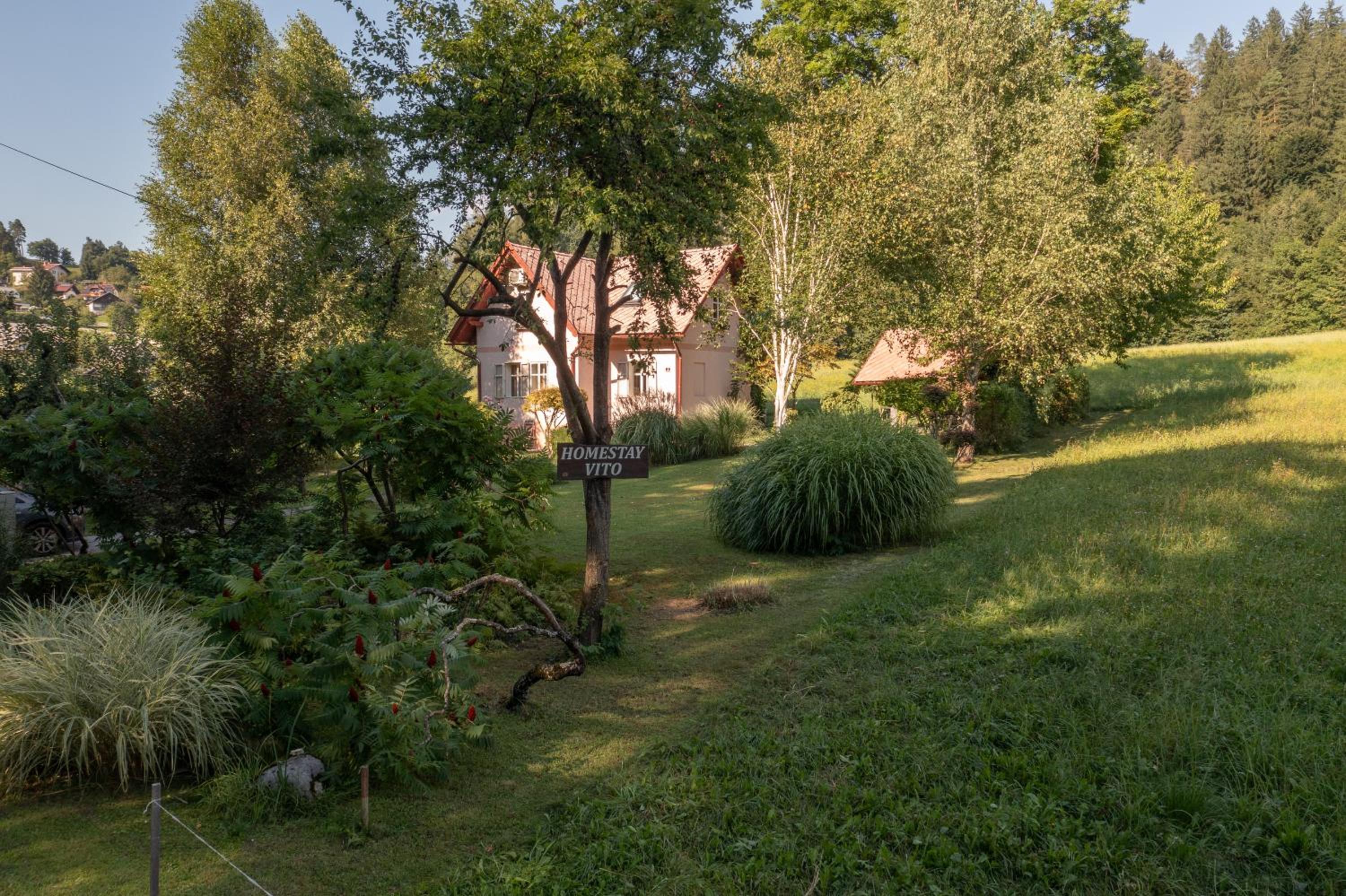 Homestay Vito by Lake view 3