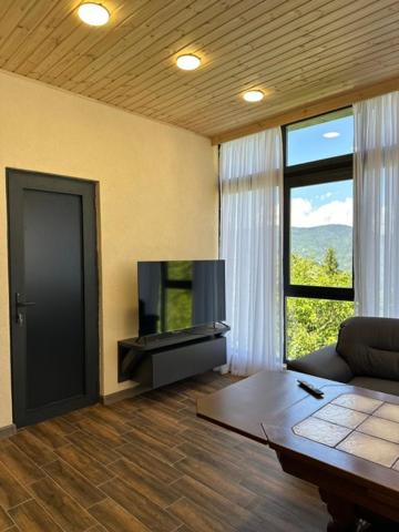panorama cottages, tbeti view 5