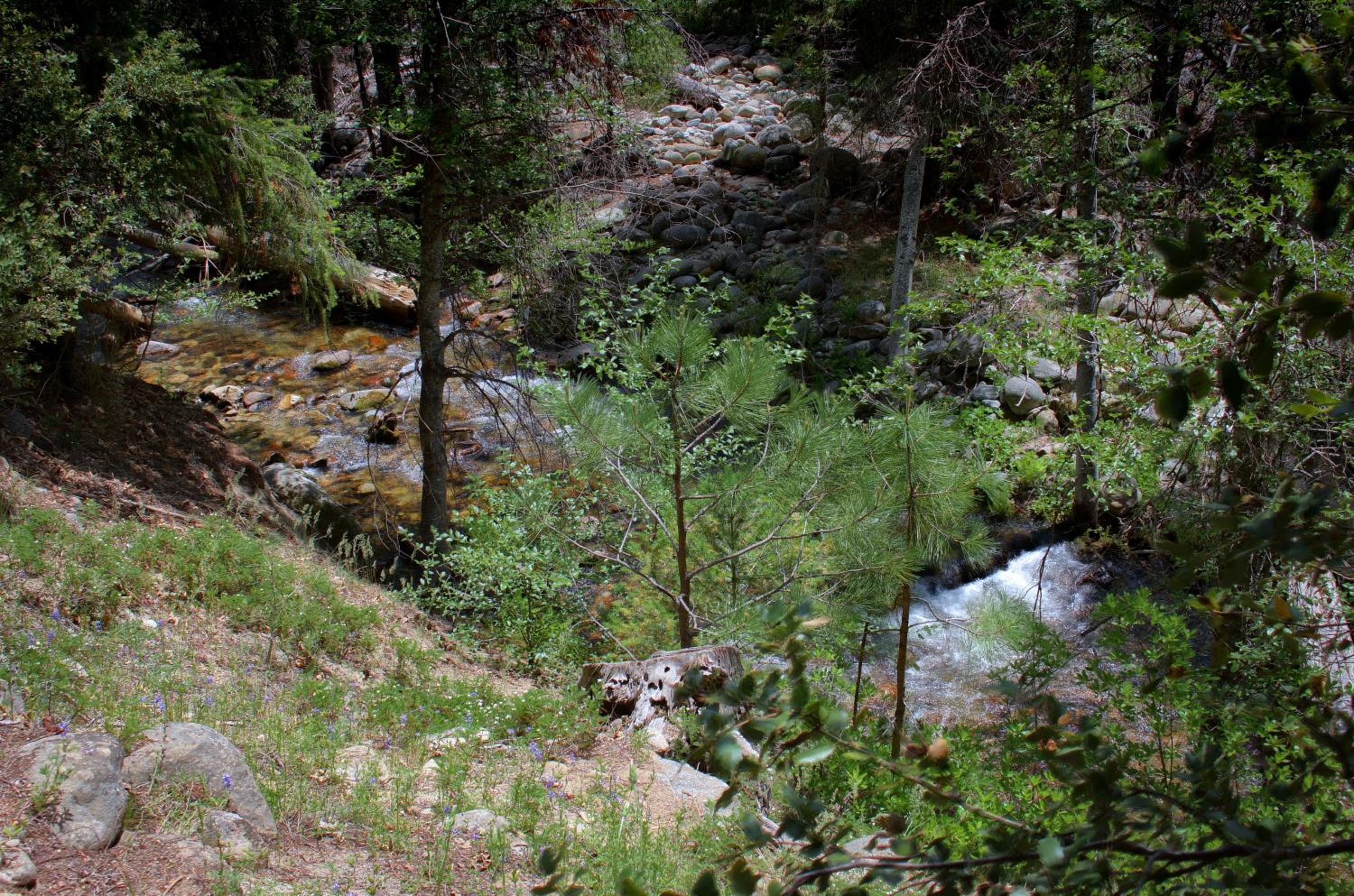 Photo 49