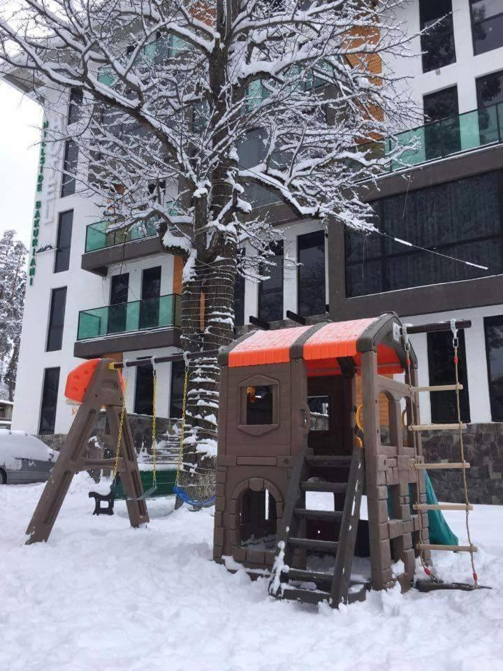 Park Apartment at Hillside Bakuriani view 2