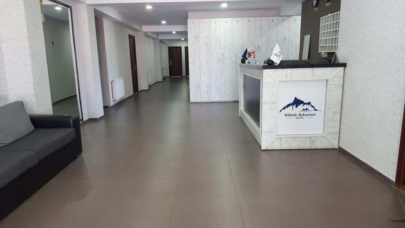Park Apartment at Hillside Bakuriani view 3