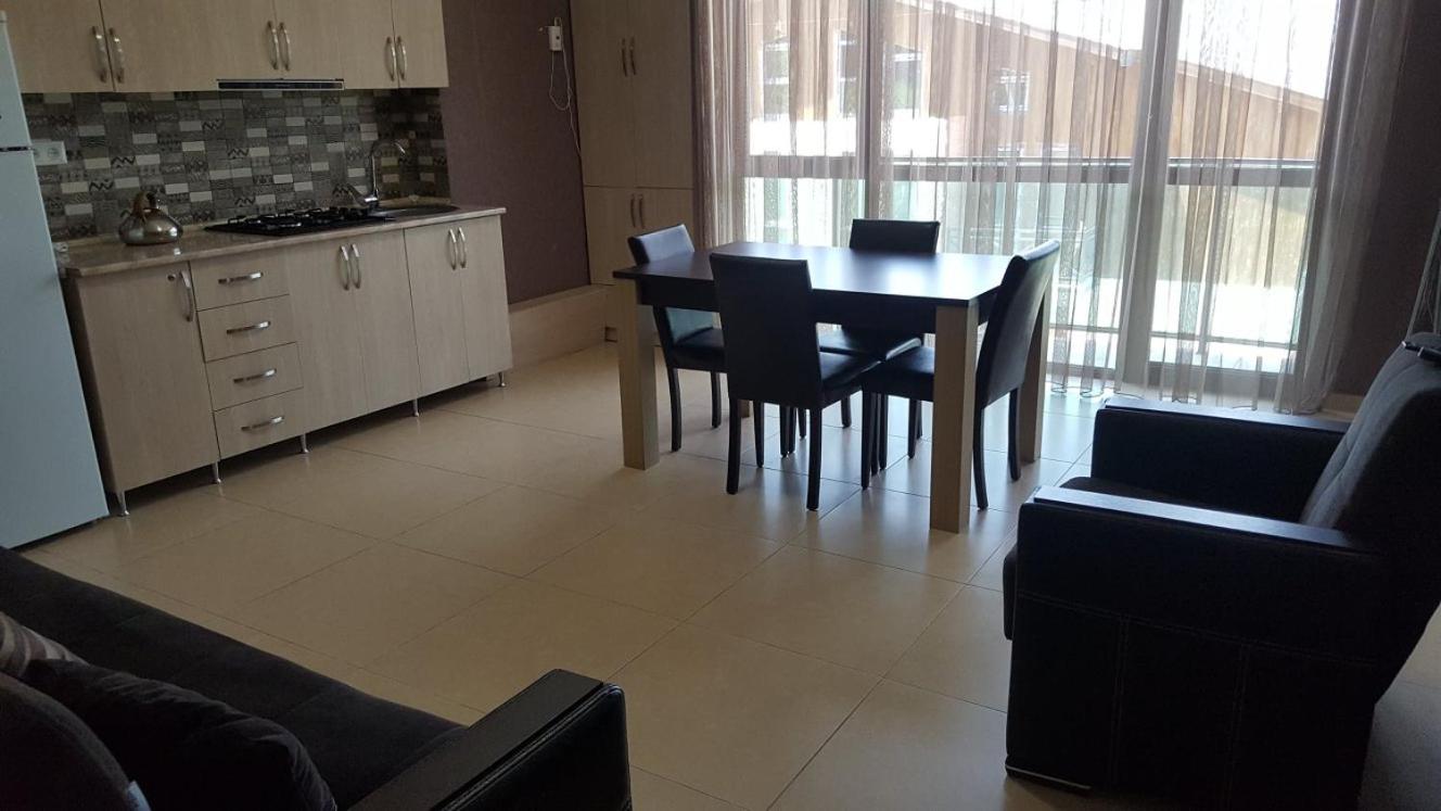 Park Apartment at Hillside Bakuriani view 4