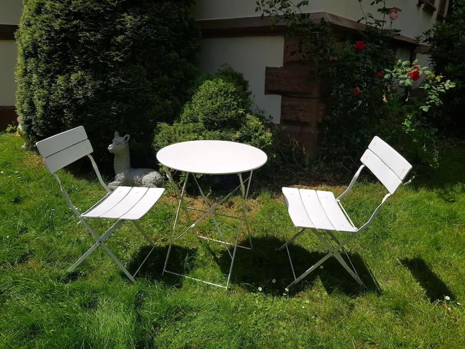 Wohnung am Marbach Stausee