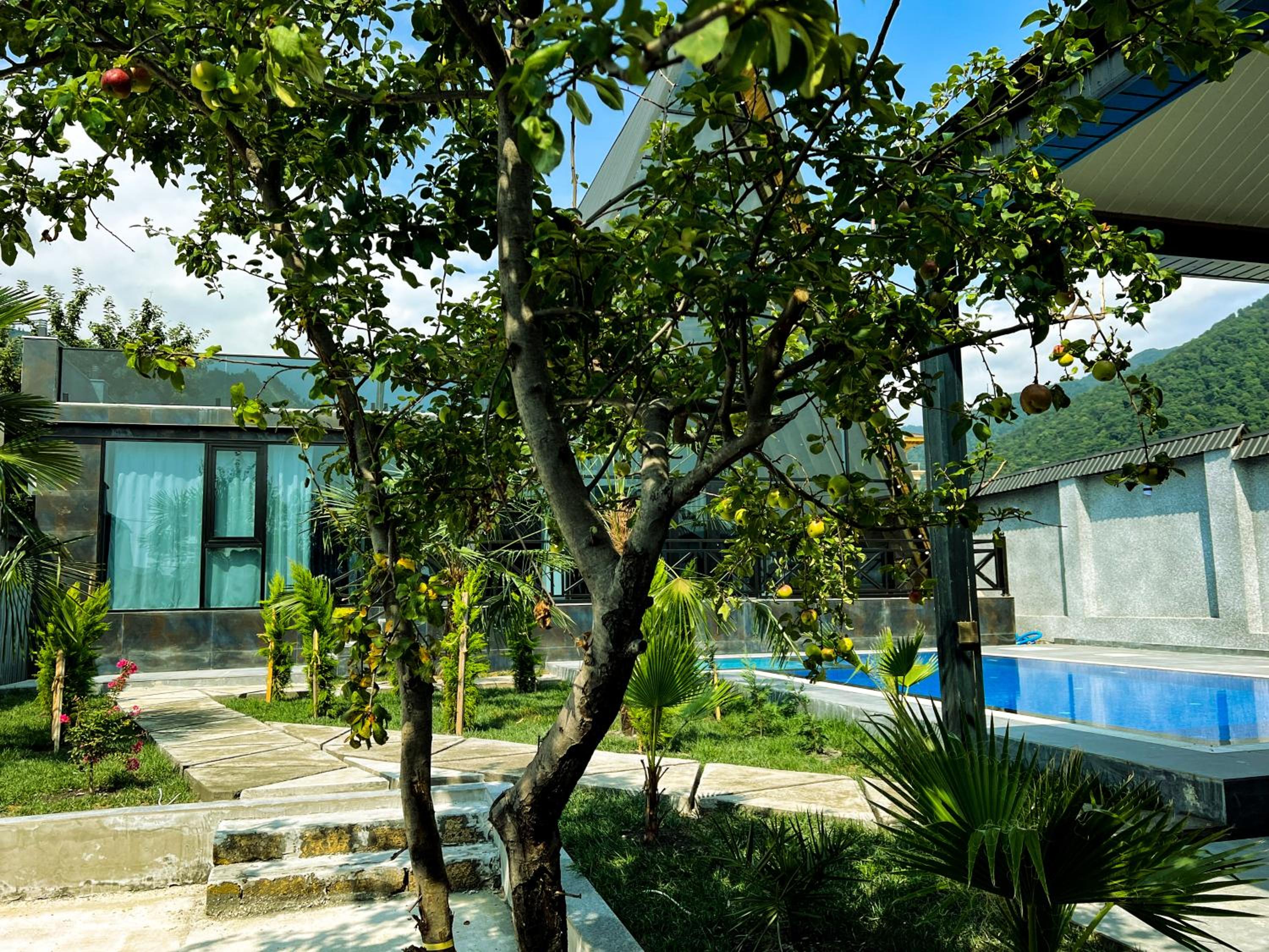 Qafqaz Luxury Chalet