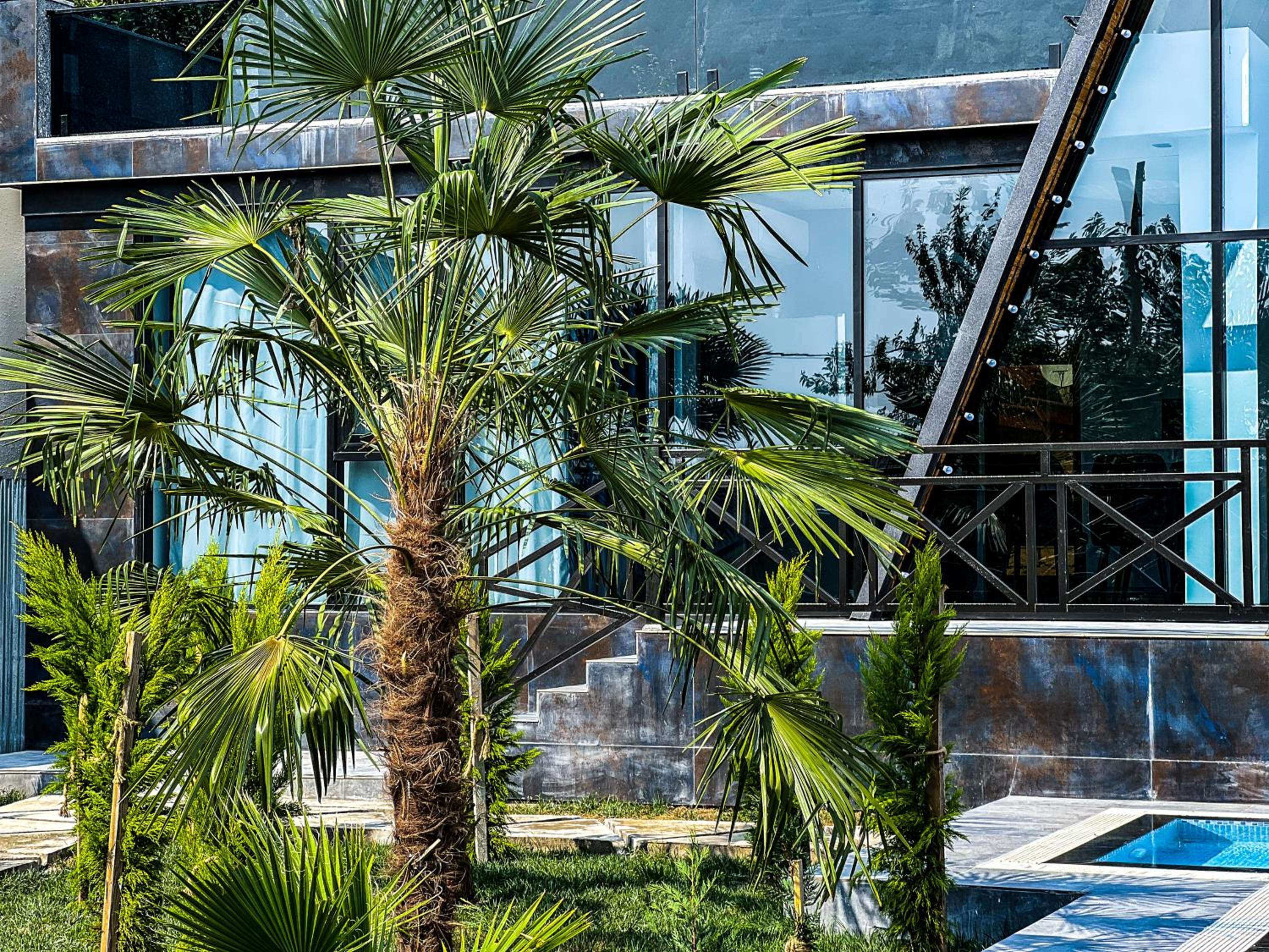 Qafqaz Luxury Chalet