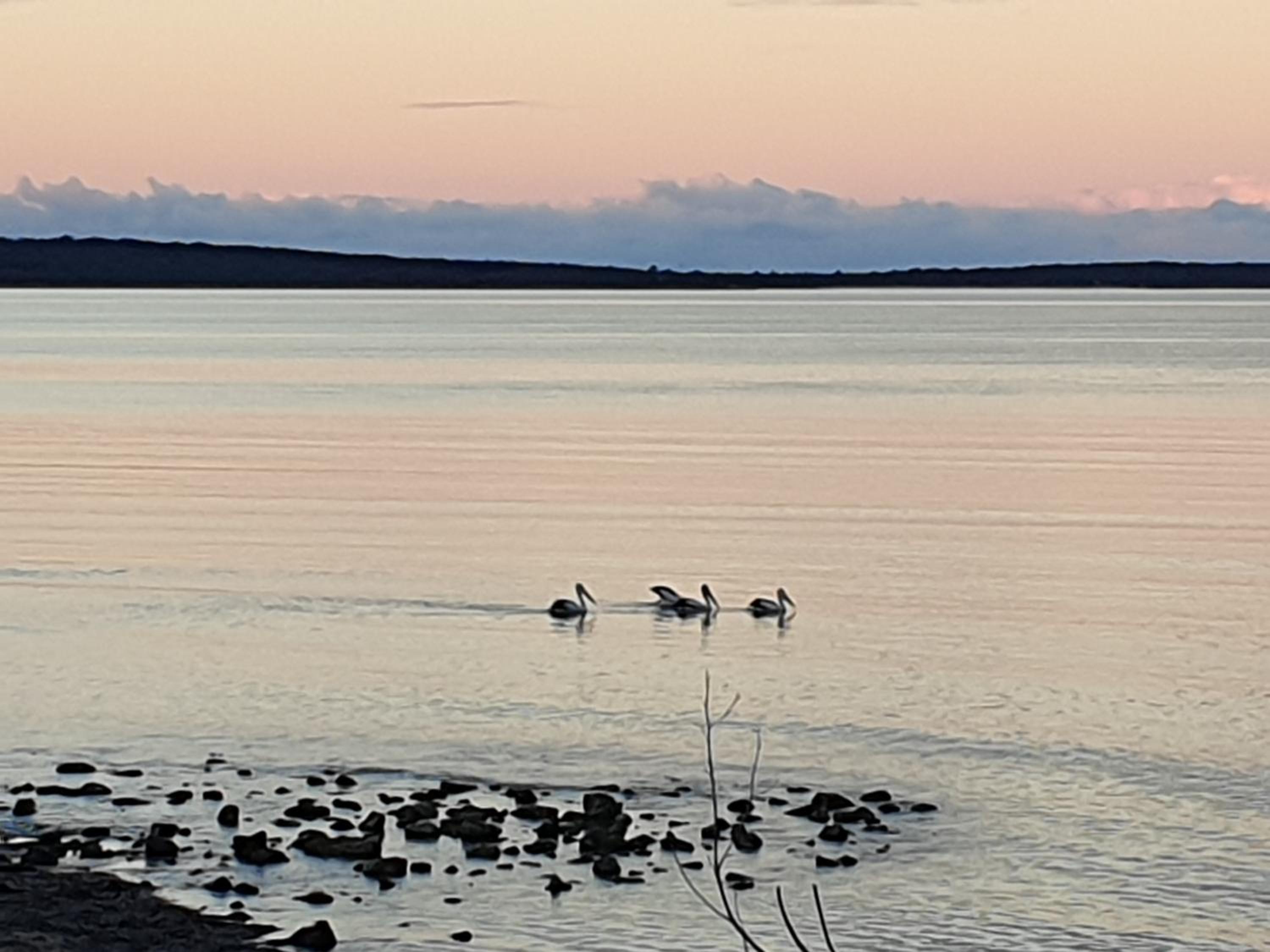 Port Lincoln Caravan Park