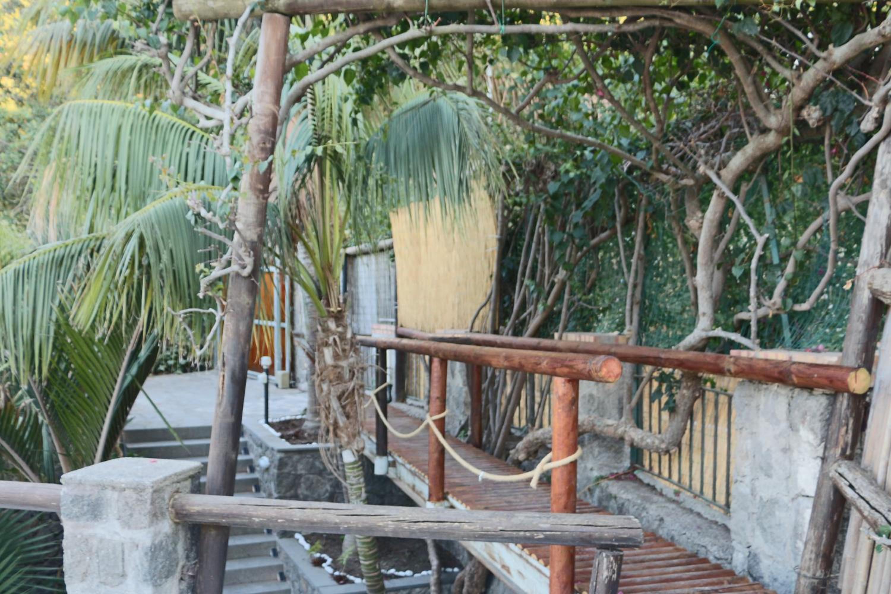 Villa Panorama Isola di Ischia photo 4