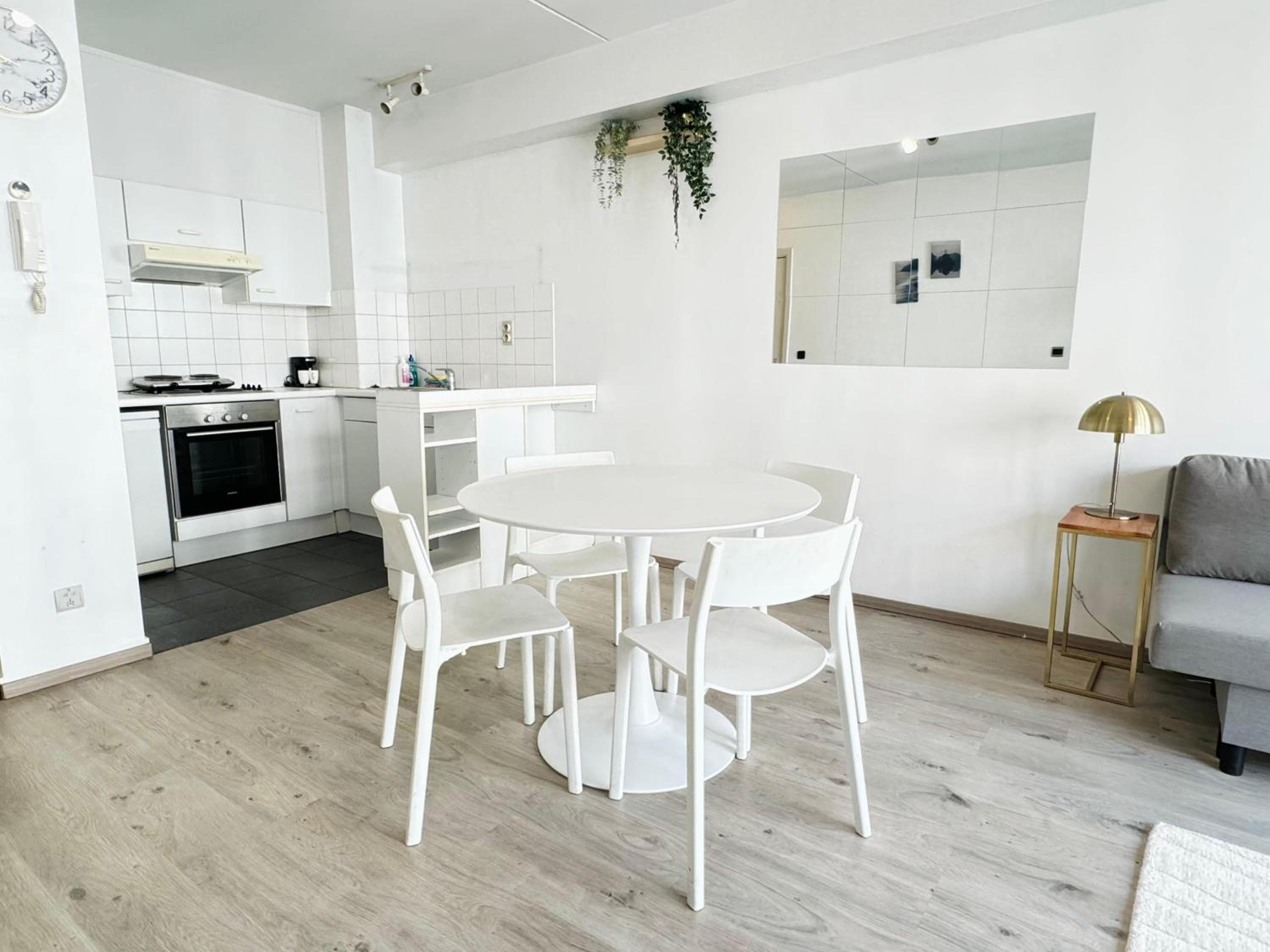 Bright Apartments In The Heart Of Antwerp