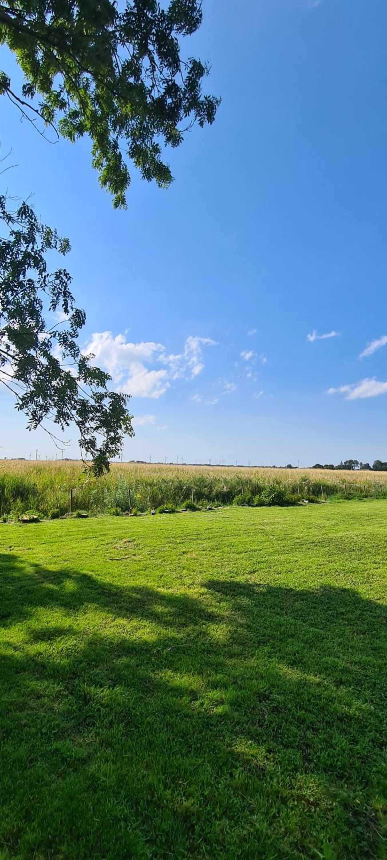 Ferienhaus Watt`n Blick - nah an der Nordsee
