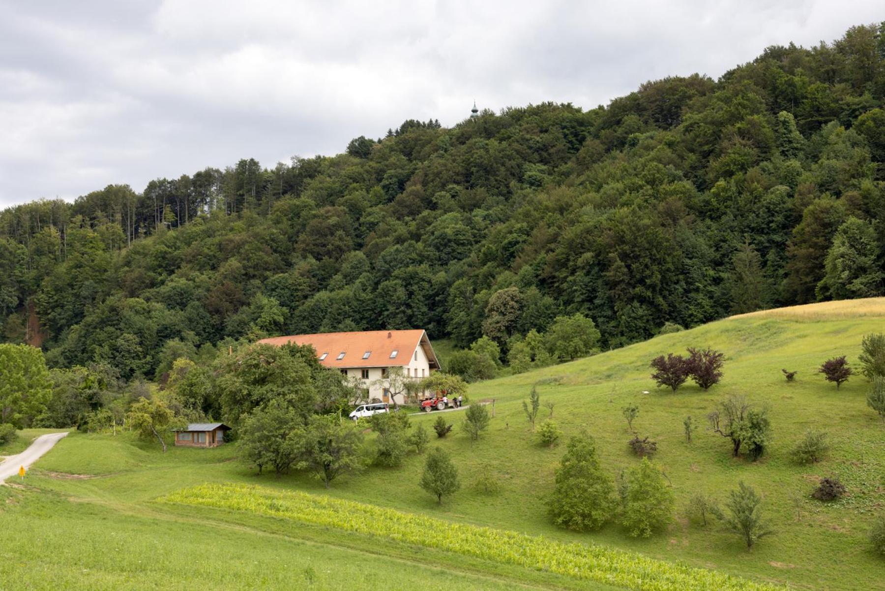 Natura Planinca
