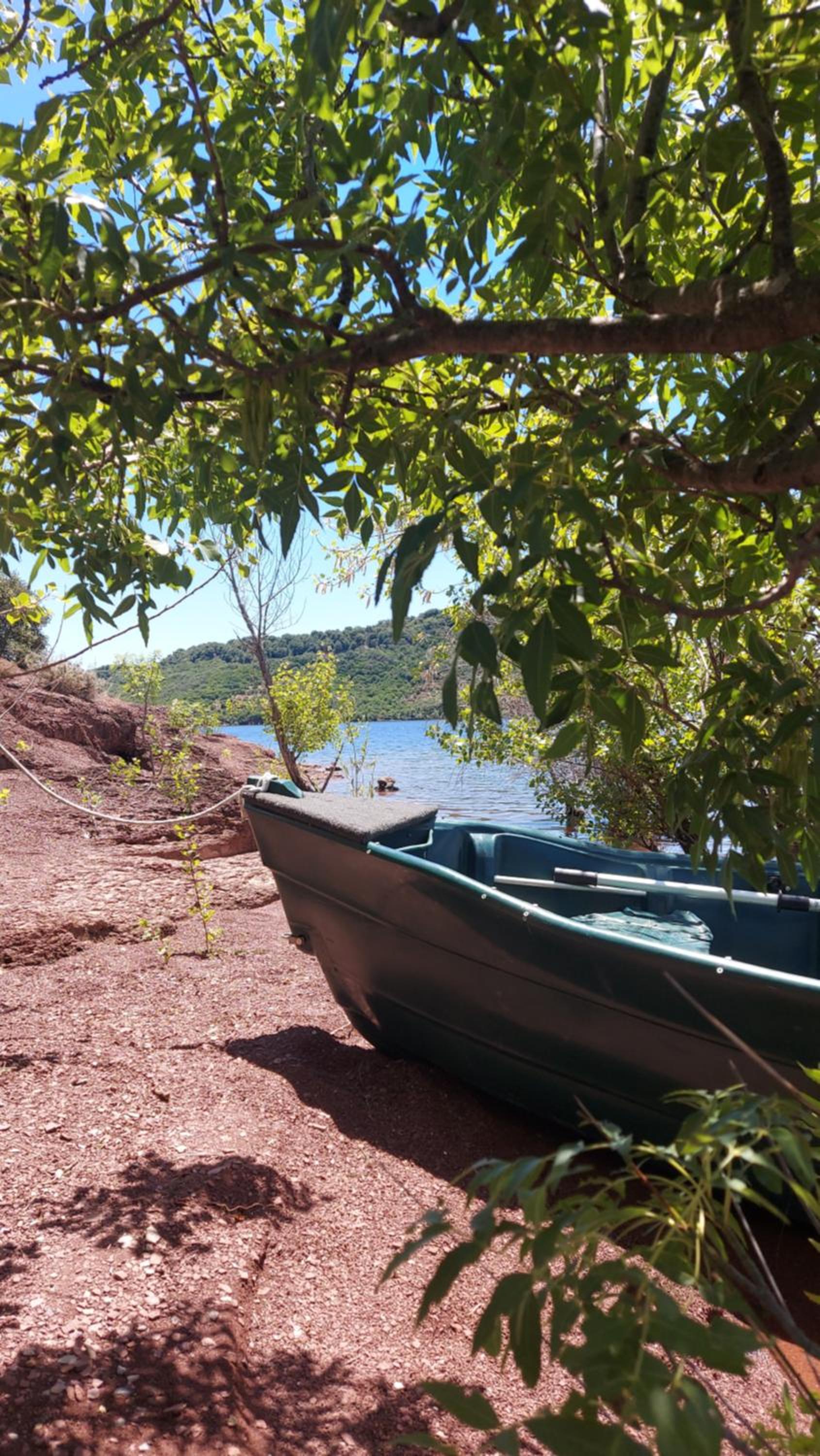 Photo 8