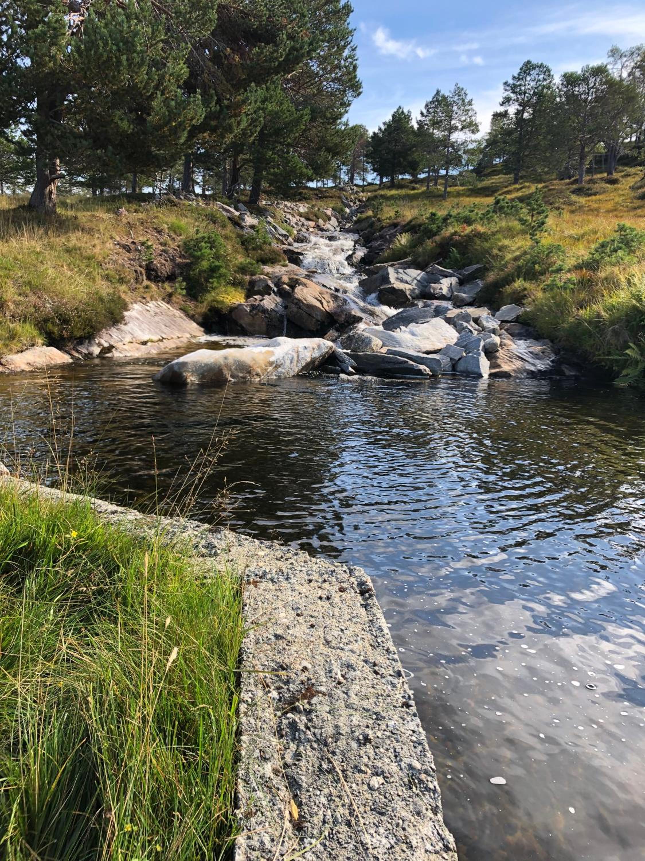 Hytte ved Nysætervatnet - Fjellsætra view 5