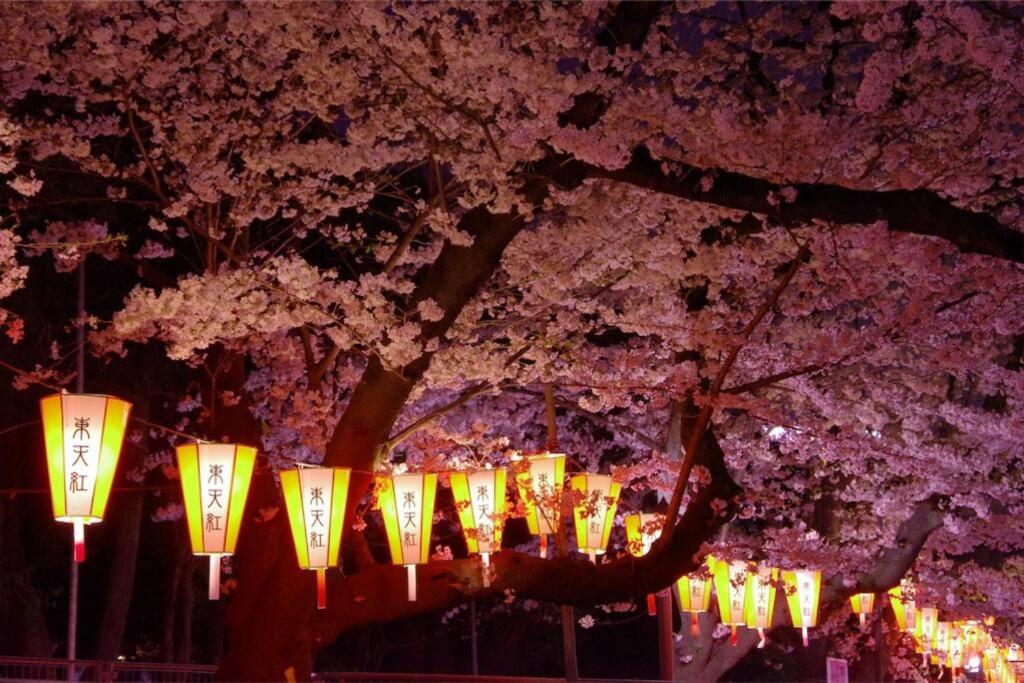 Asakusa and Ueno Area, 2 Minutes to Iriya Station, Very Convenient