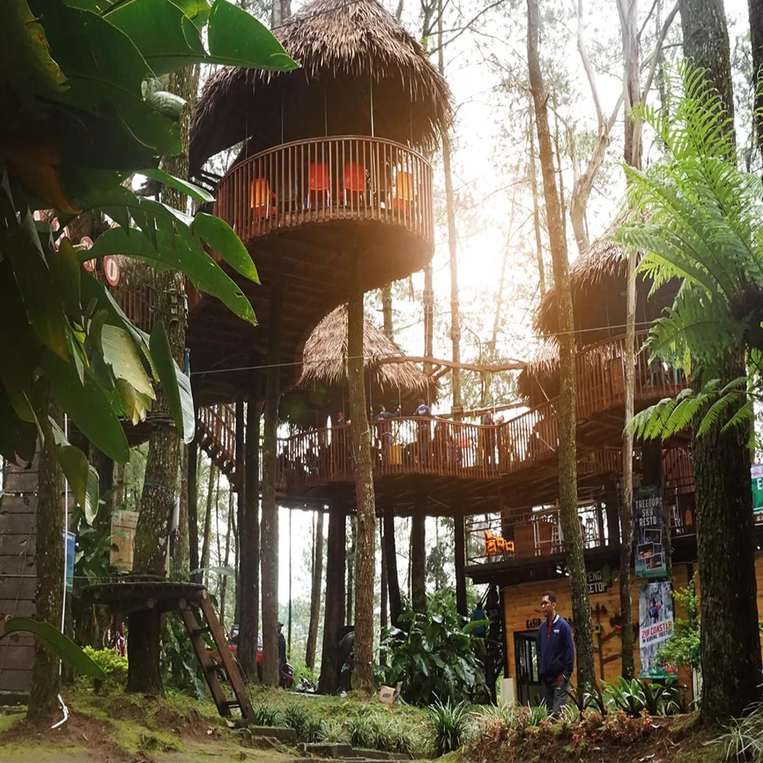 Kopeng Treetop Adventure Park