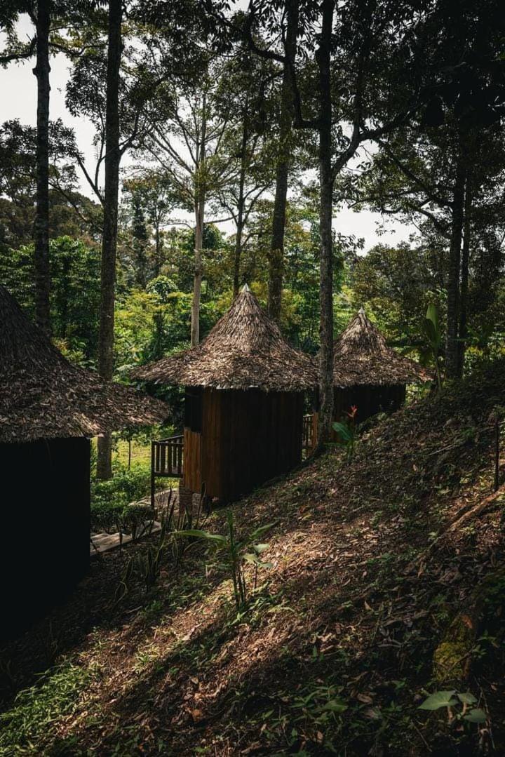 Eco Conservation Landak Luxury Tents view 3