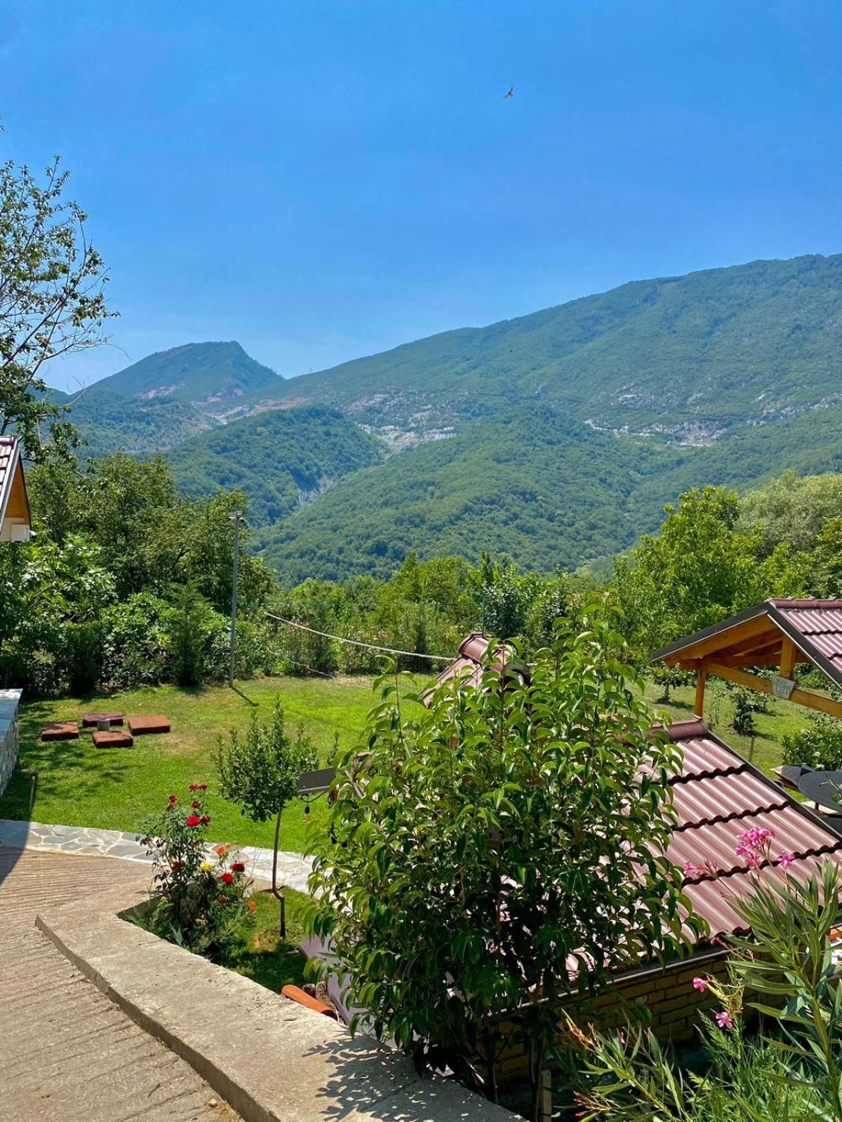 Guest House Laci