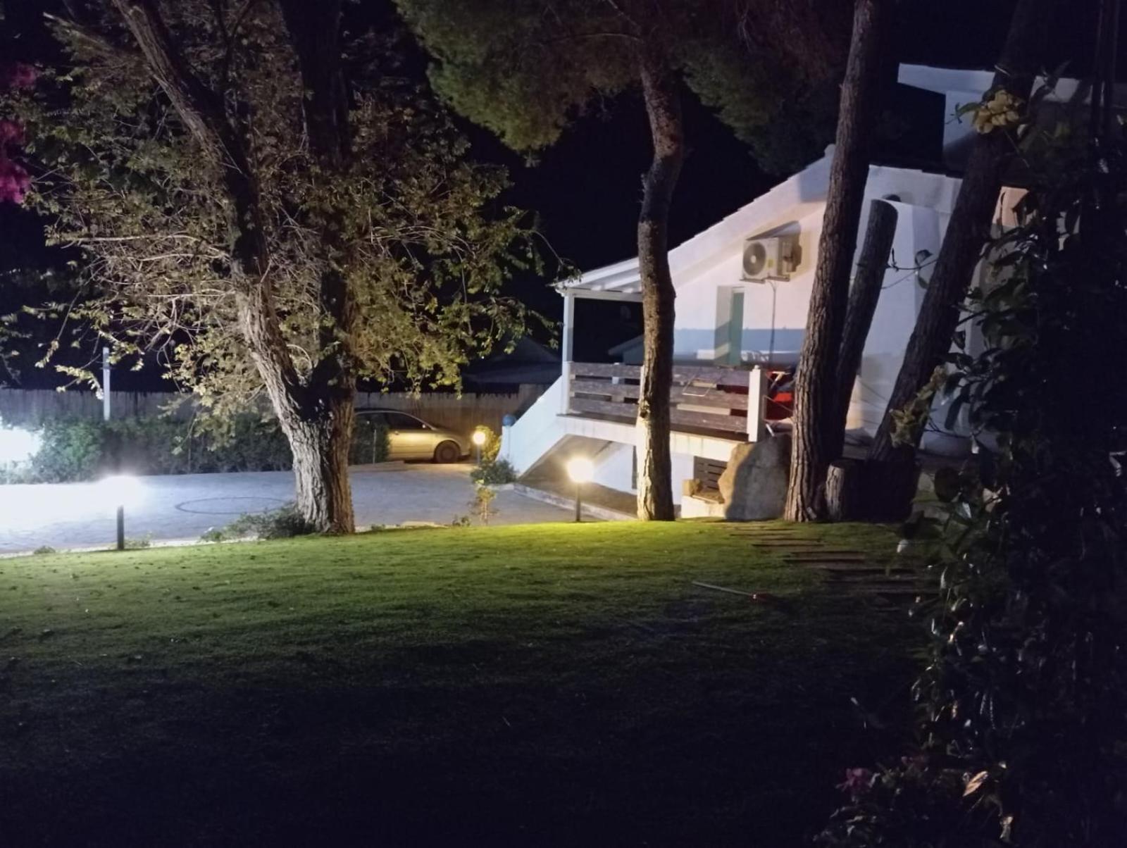 Photo 19