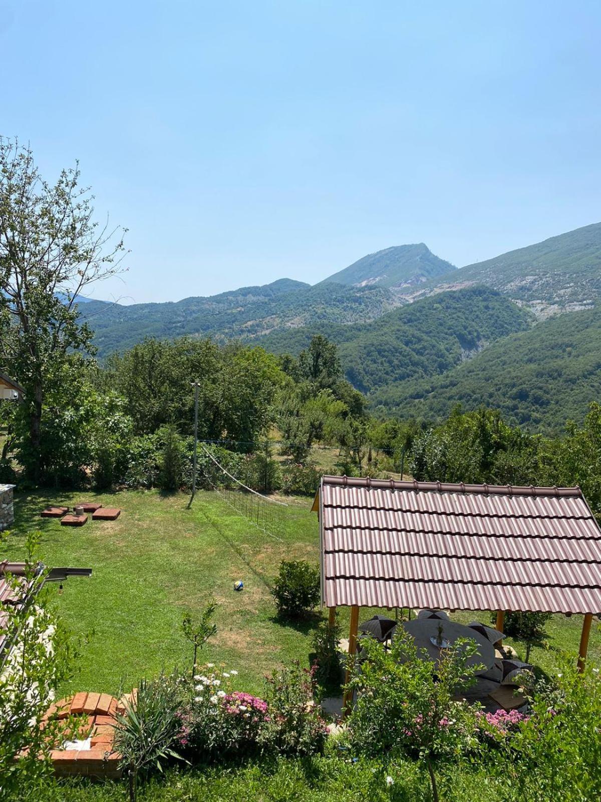 Guest House Laci