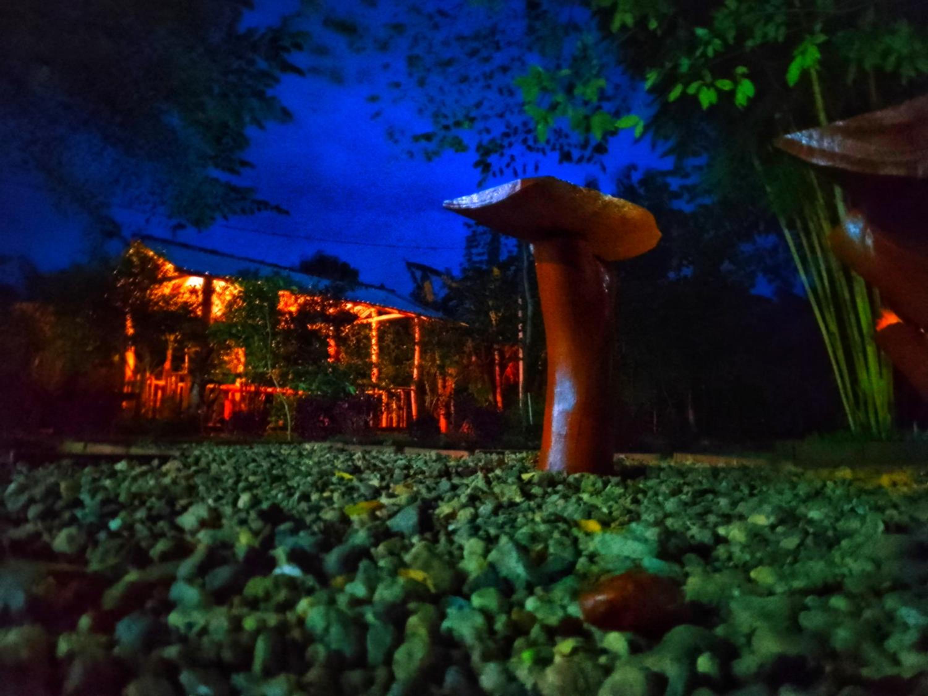 Banana Shade Cottage