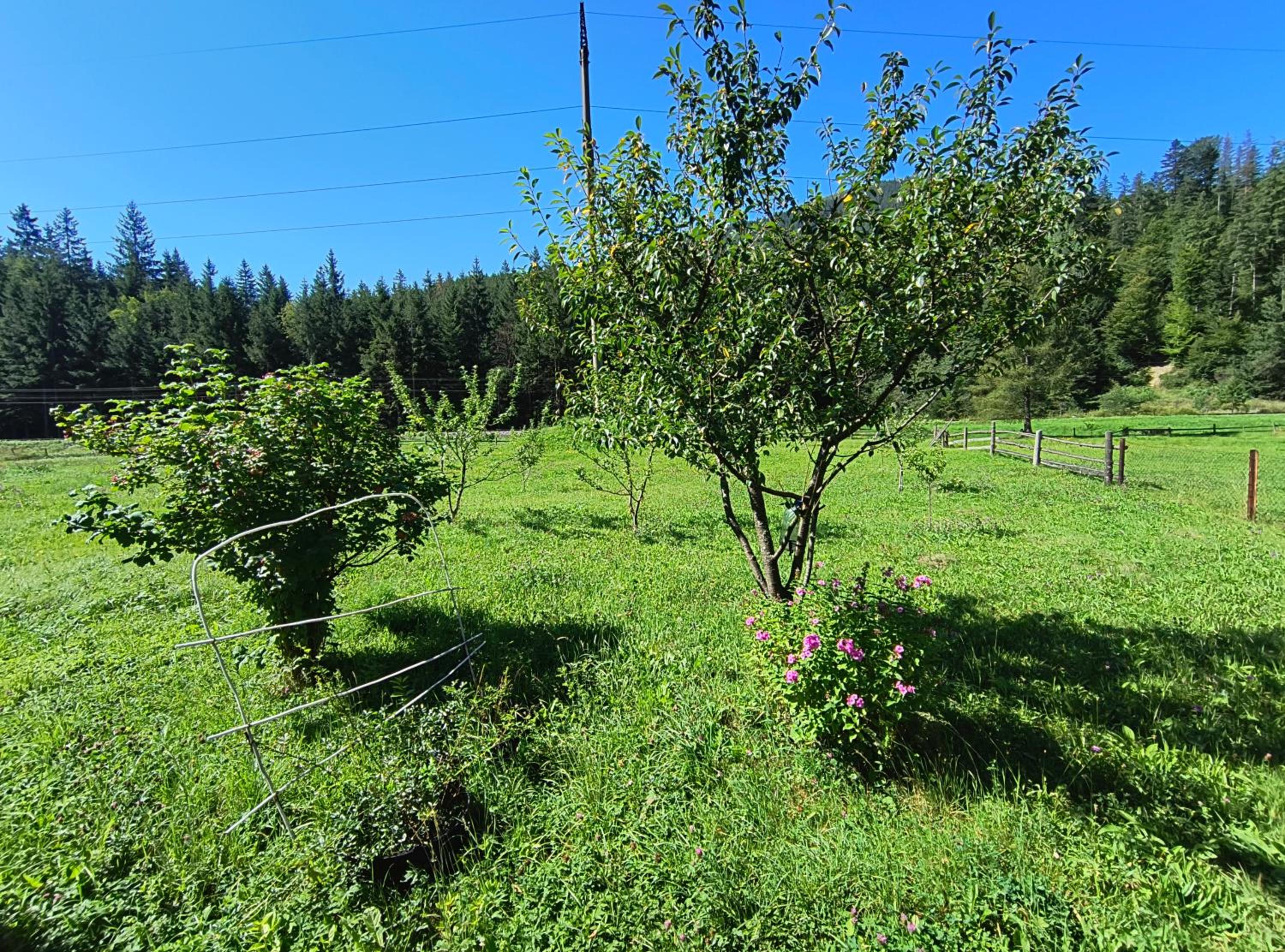 Photo 28