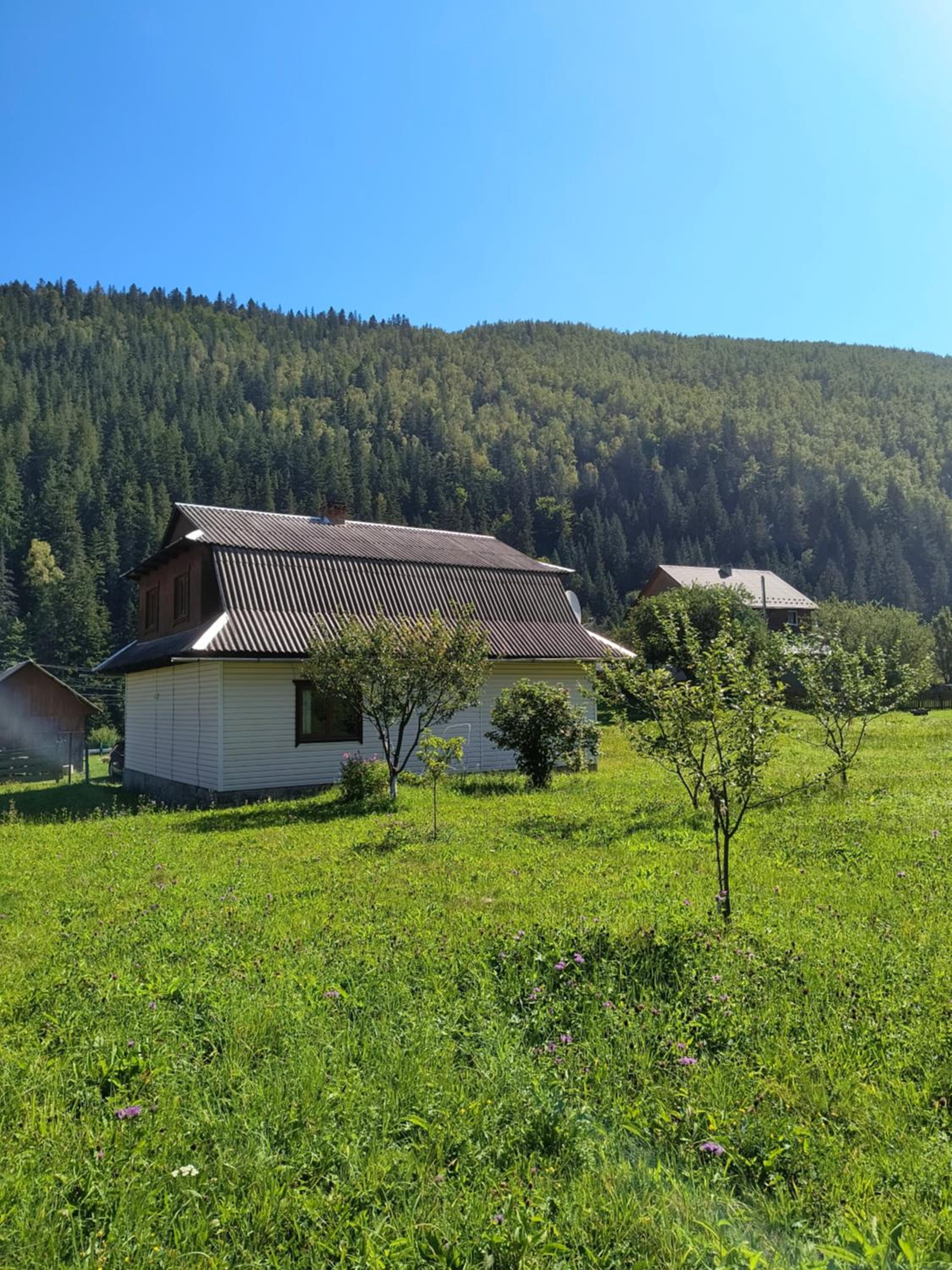 Photo 26